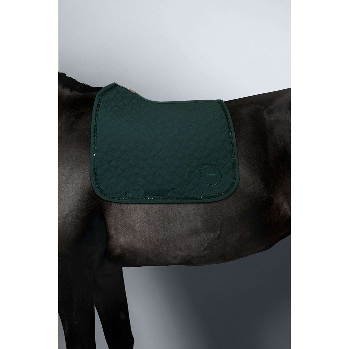 Harcour Saddlepad Saphir Dressage Jungle