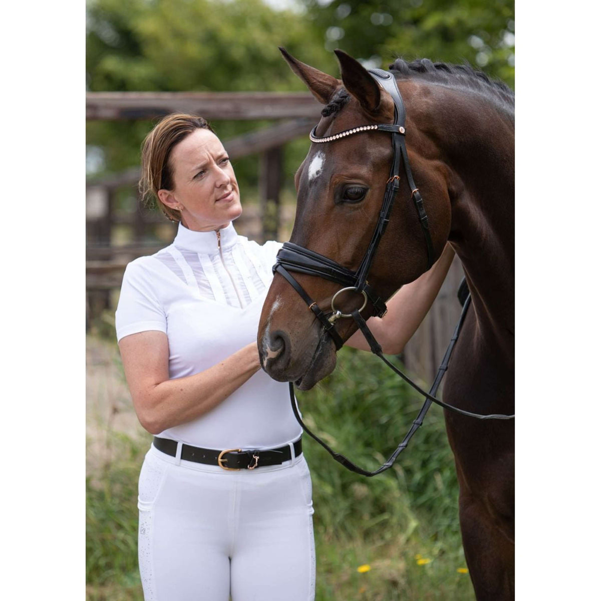 Harry's Horse Competition Shirt EQS Burgundy White