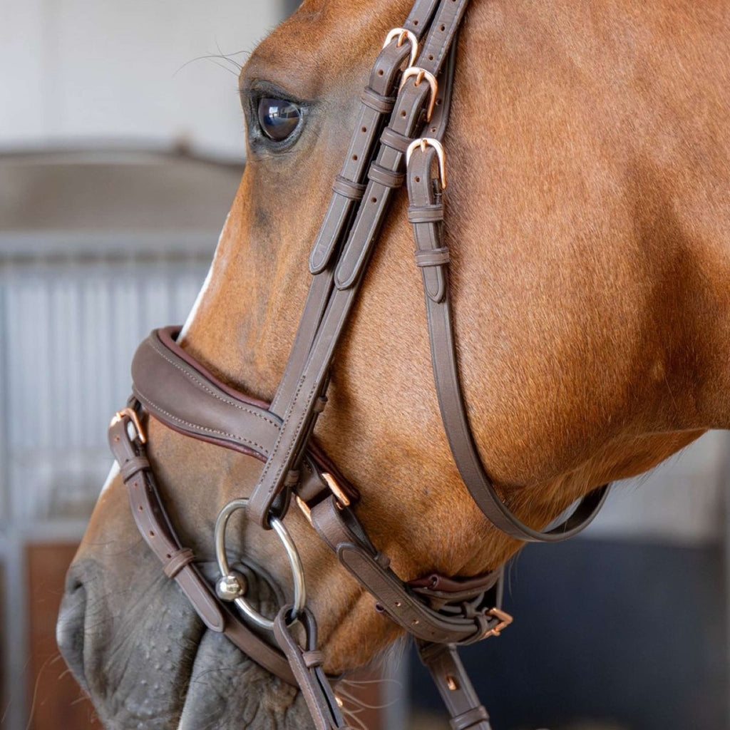 Harry's Horse Bridle Bombastic Crystals Brown
