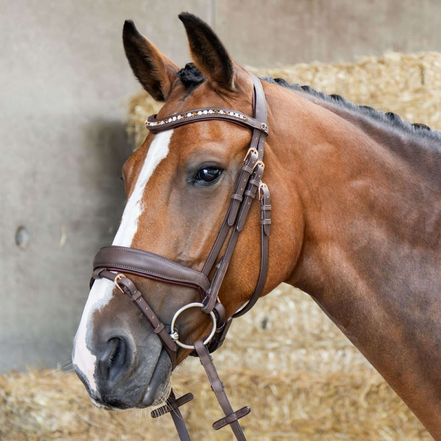 Harry's Horse Bridle Bombastic Crystals Brown