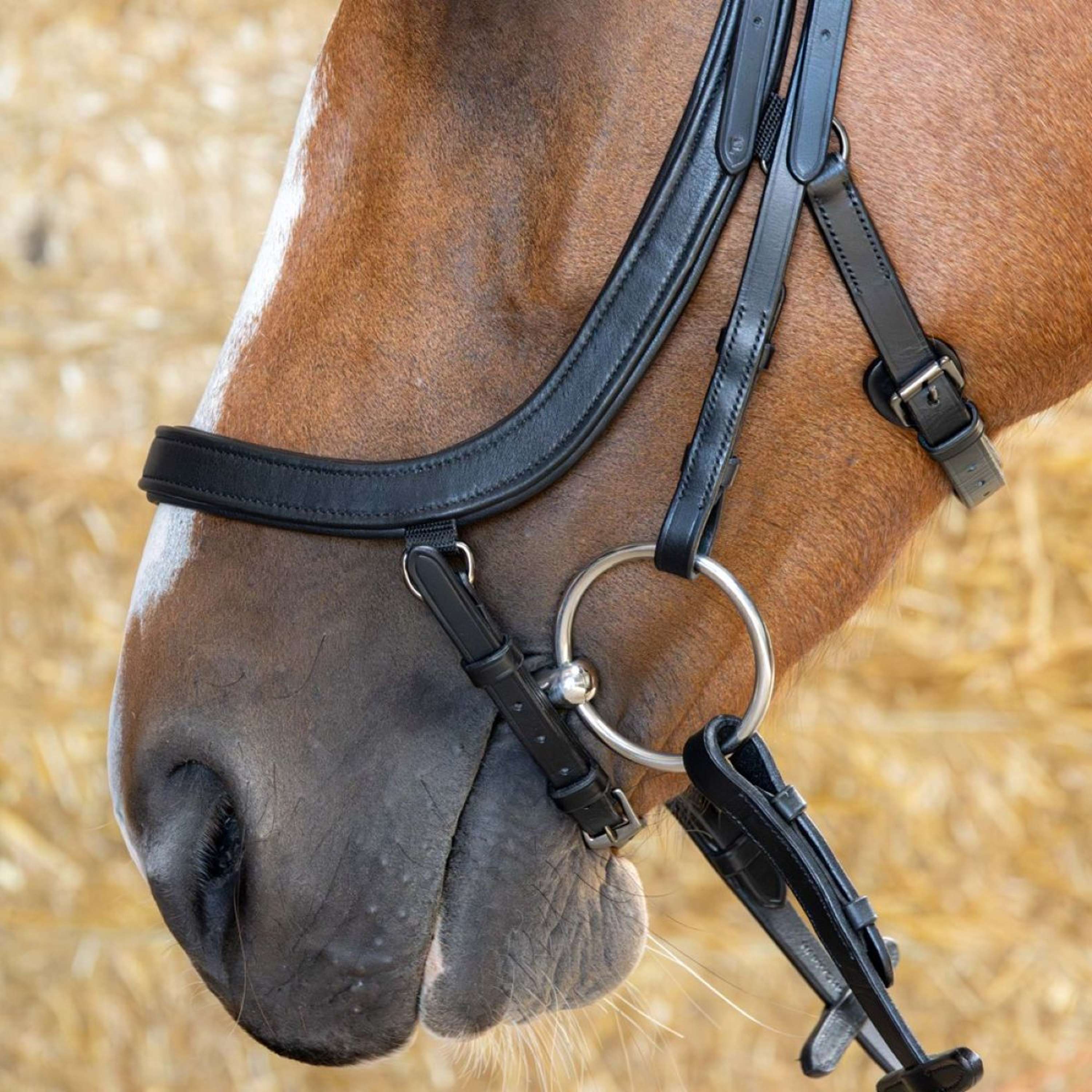 Harry's Horse Bridle Anatomic Black Crystal Black