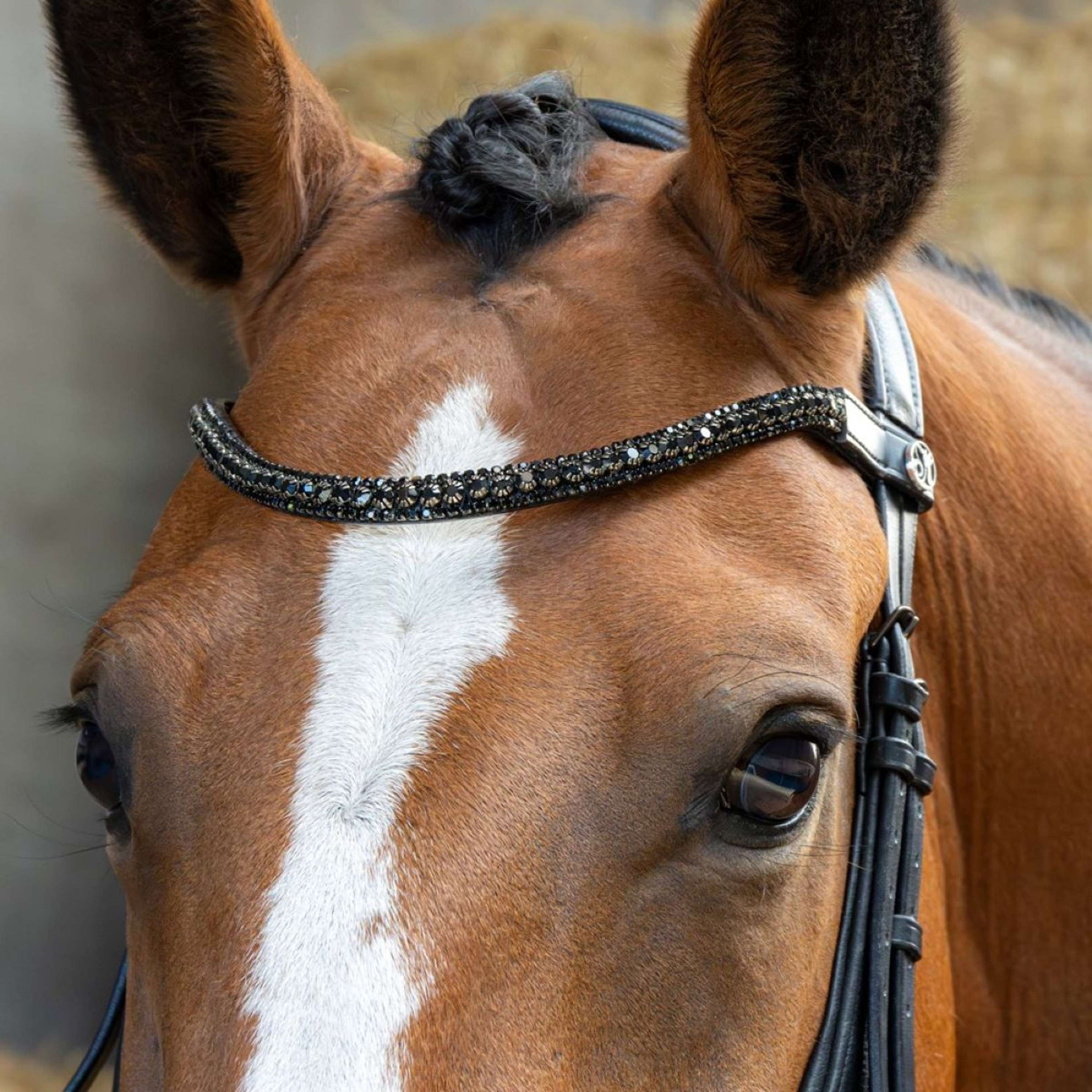 Harry's Horse Bridle Anatomic Black Crystal Black