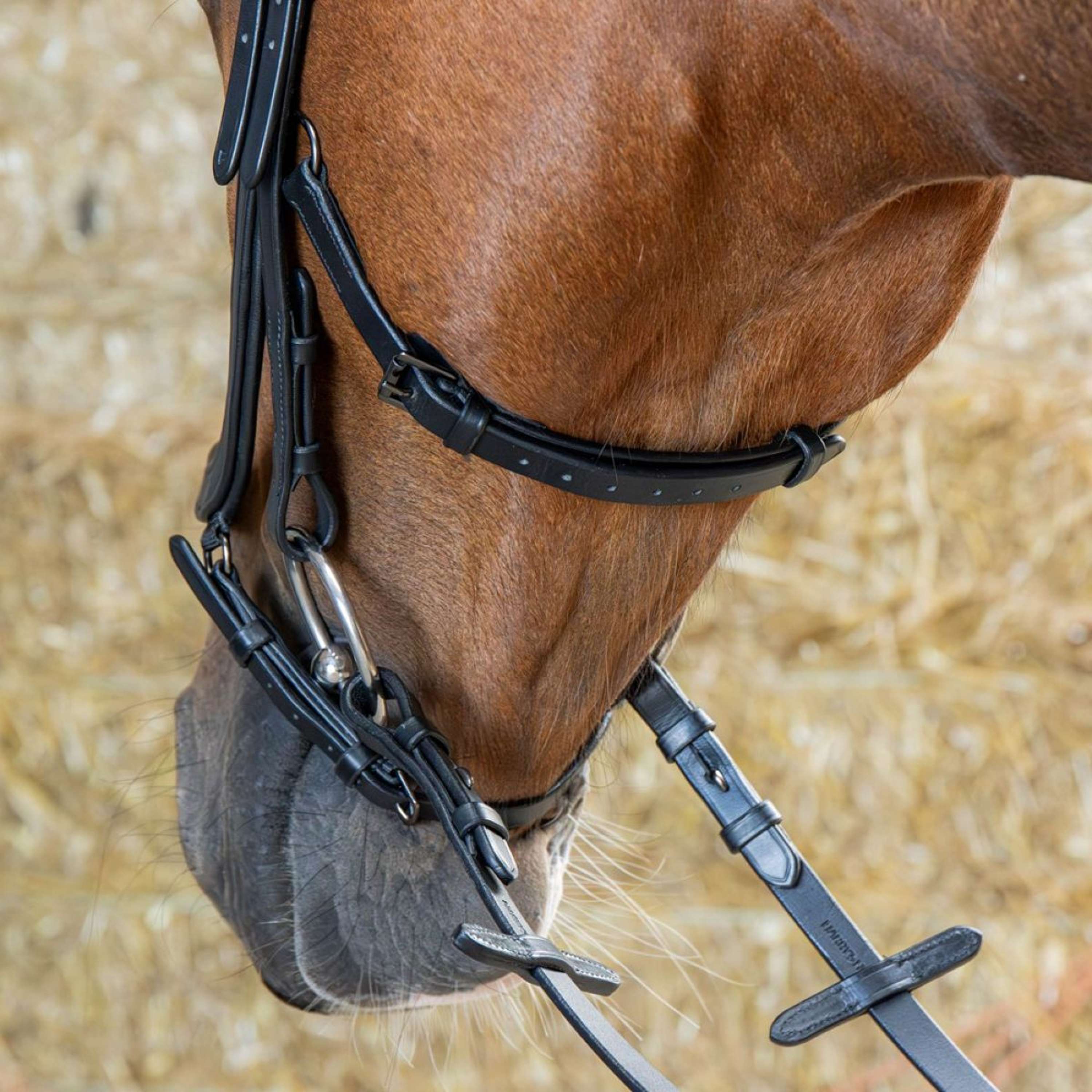 Harry's Horse Bridle Anatomic Black Crystal Black