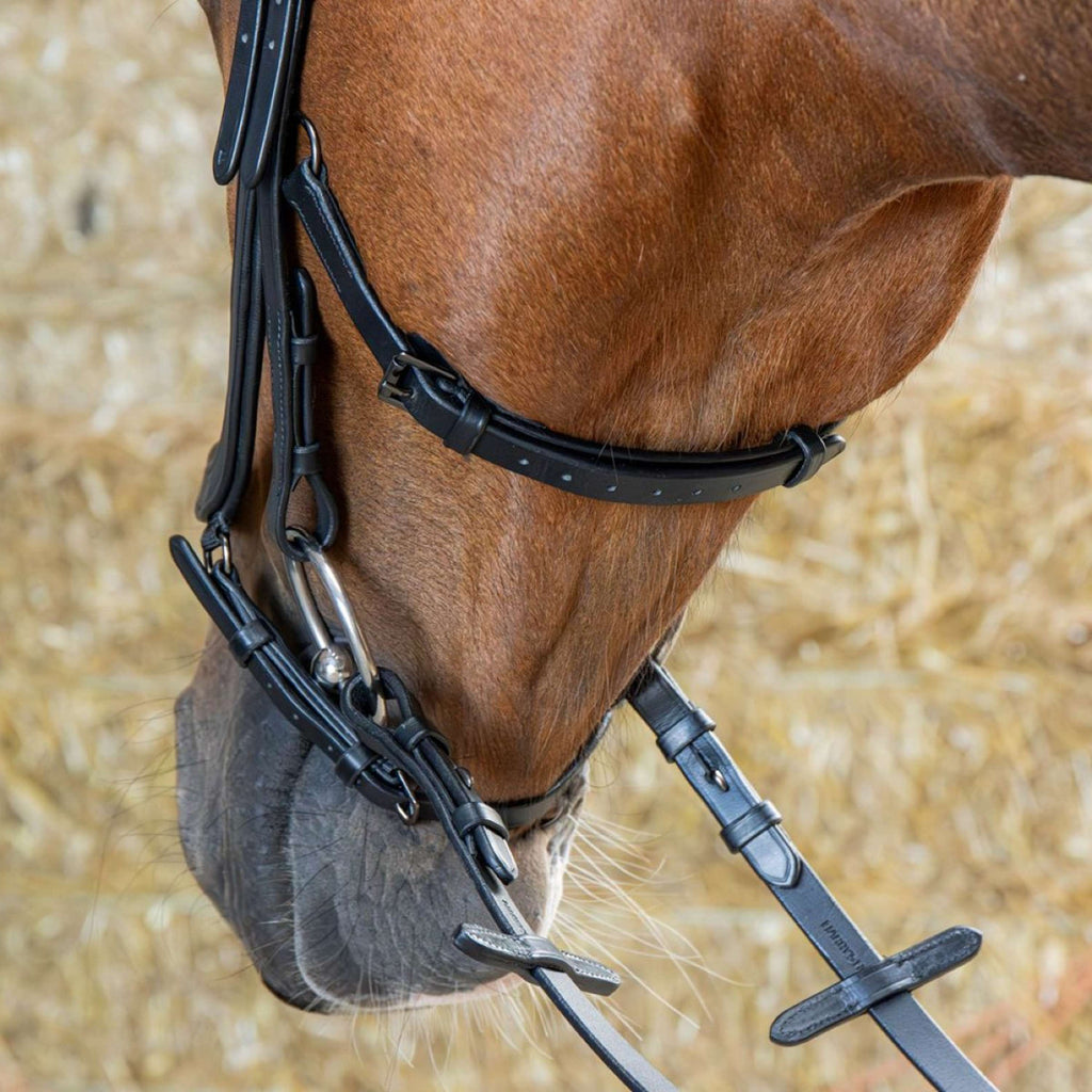 Harry's Horse Bridle Anatomic Black Crystal Black