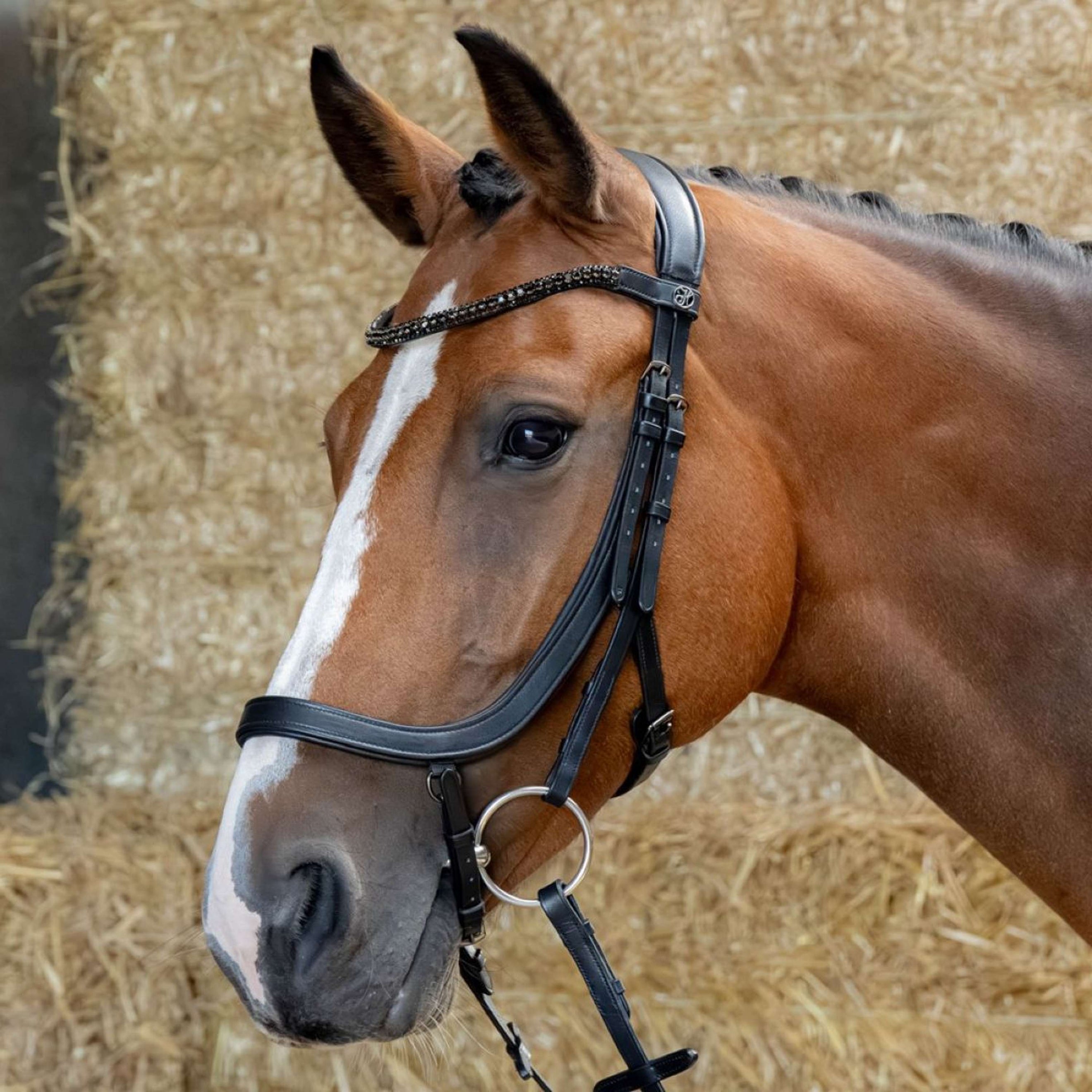 Harry's Horse Bridle Anatomic Black Crystal Black Harry's Horse Bridle Anatomic Black Crystal Black