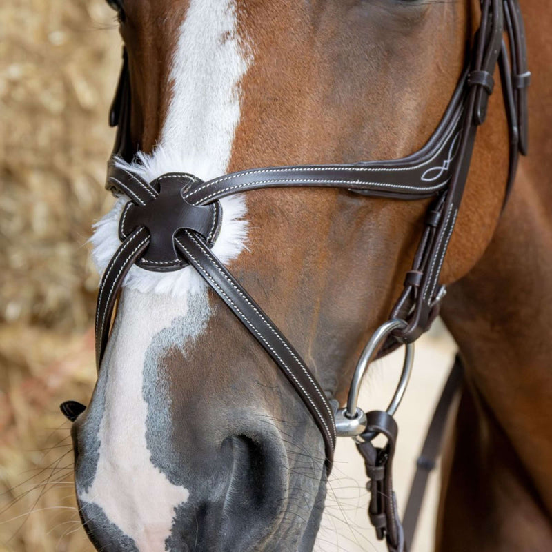 Harry's Horse Mexican Bridle Anatomic Brown