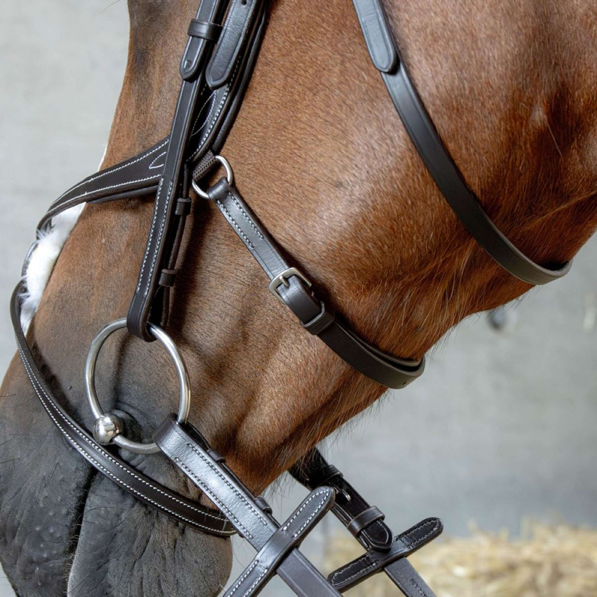 Harry's Horse Mexican Bridle Anatomic Brown