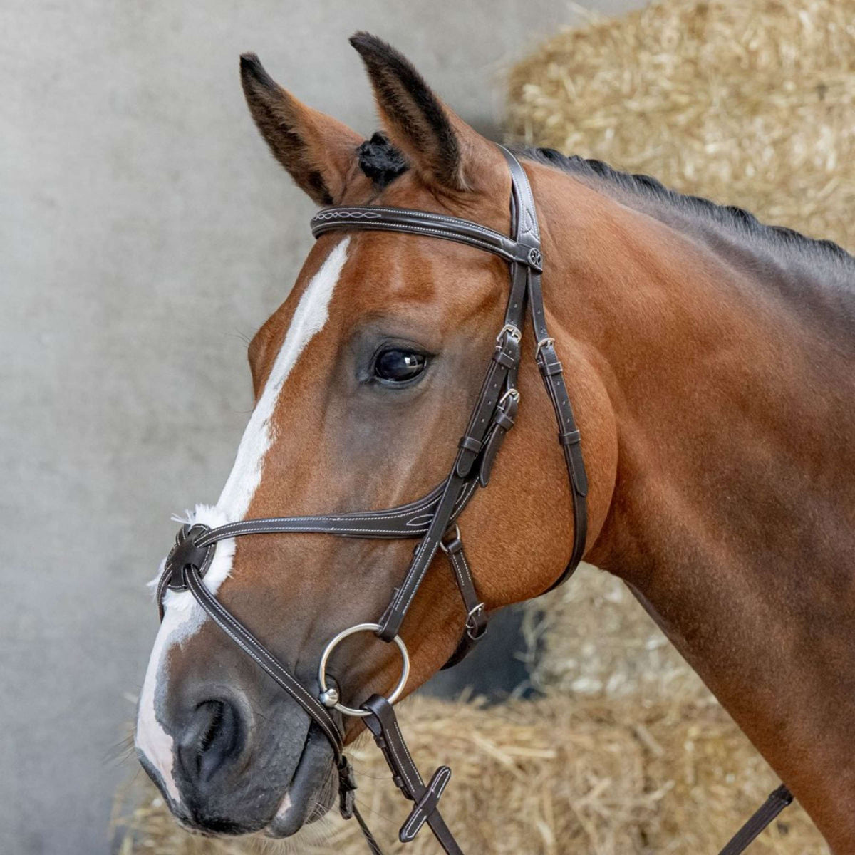 Harry's Horse Mexican Bridle Anatomic Brown