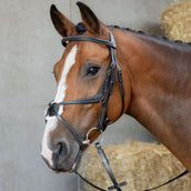 Harry's Horse Mexican Bridle Anatomic Black