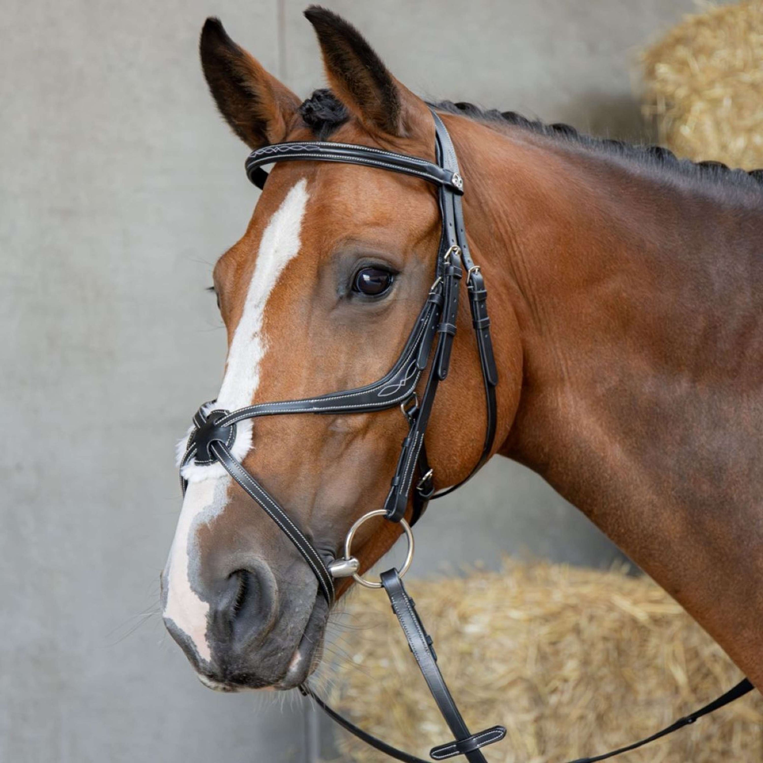 Harry's Horse Mexican Bridle Anatomic Black
