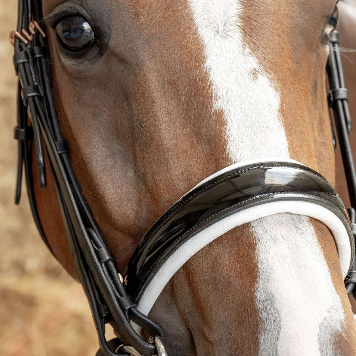 Harry's Horse Double Bridle Soft Rosegold Black