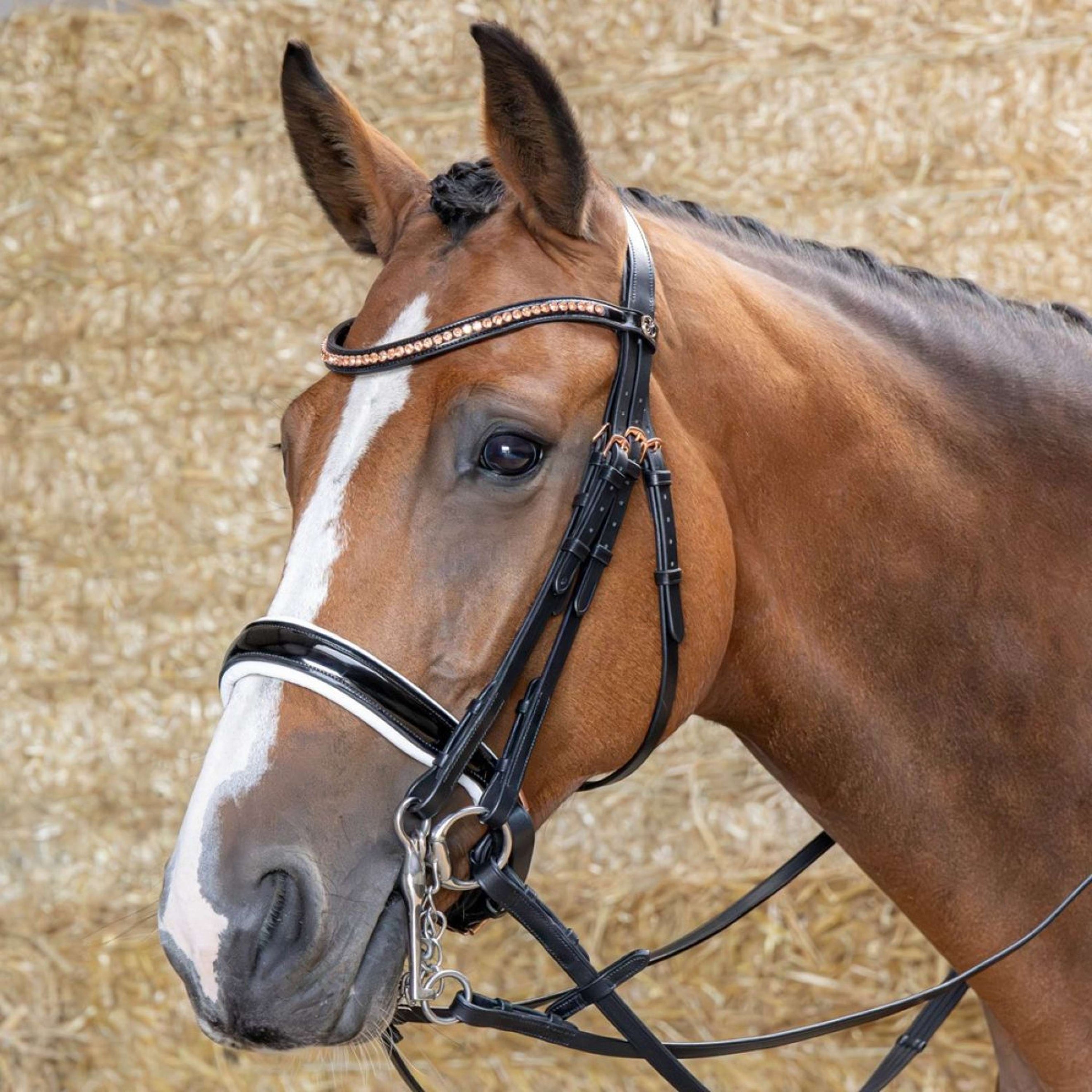 Harry's Horse Double Bridle Soft Rosegold Black