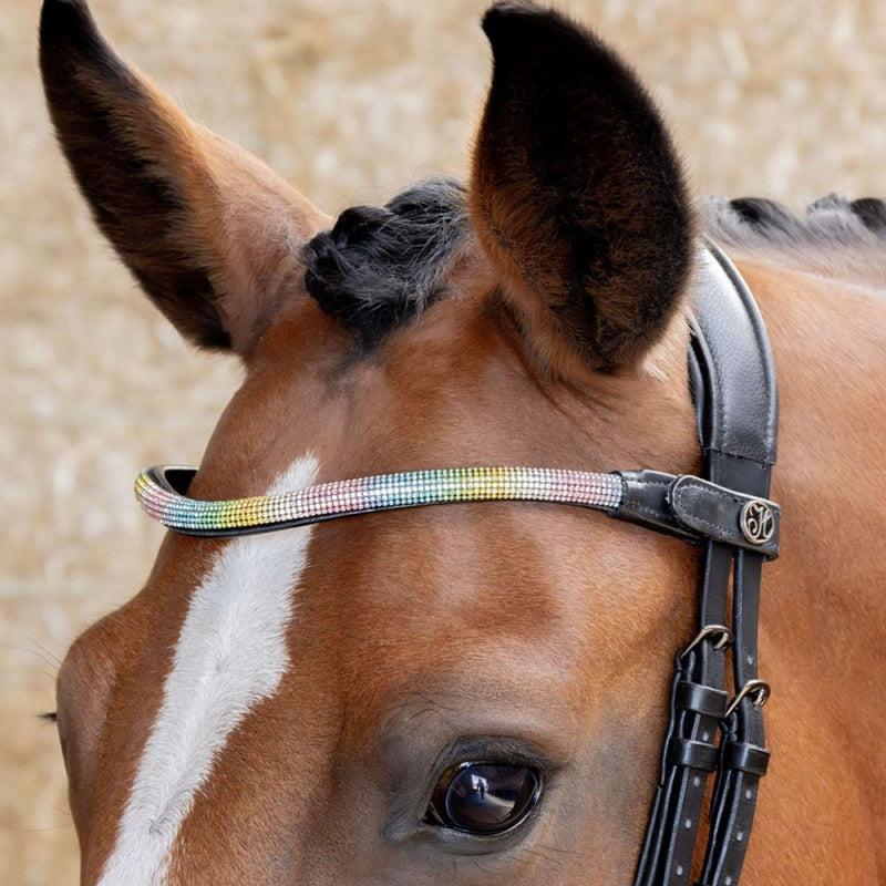 Harry's Horse Browband Rainbow Rainbow