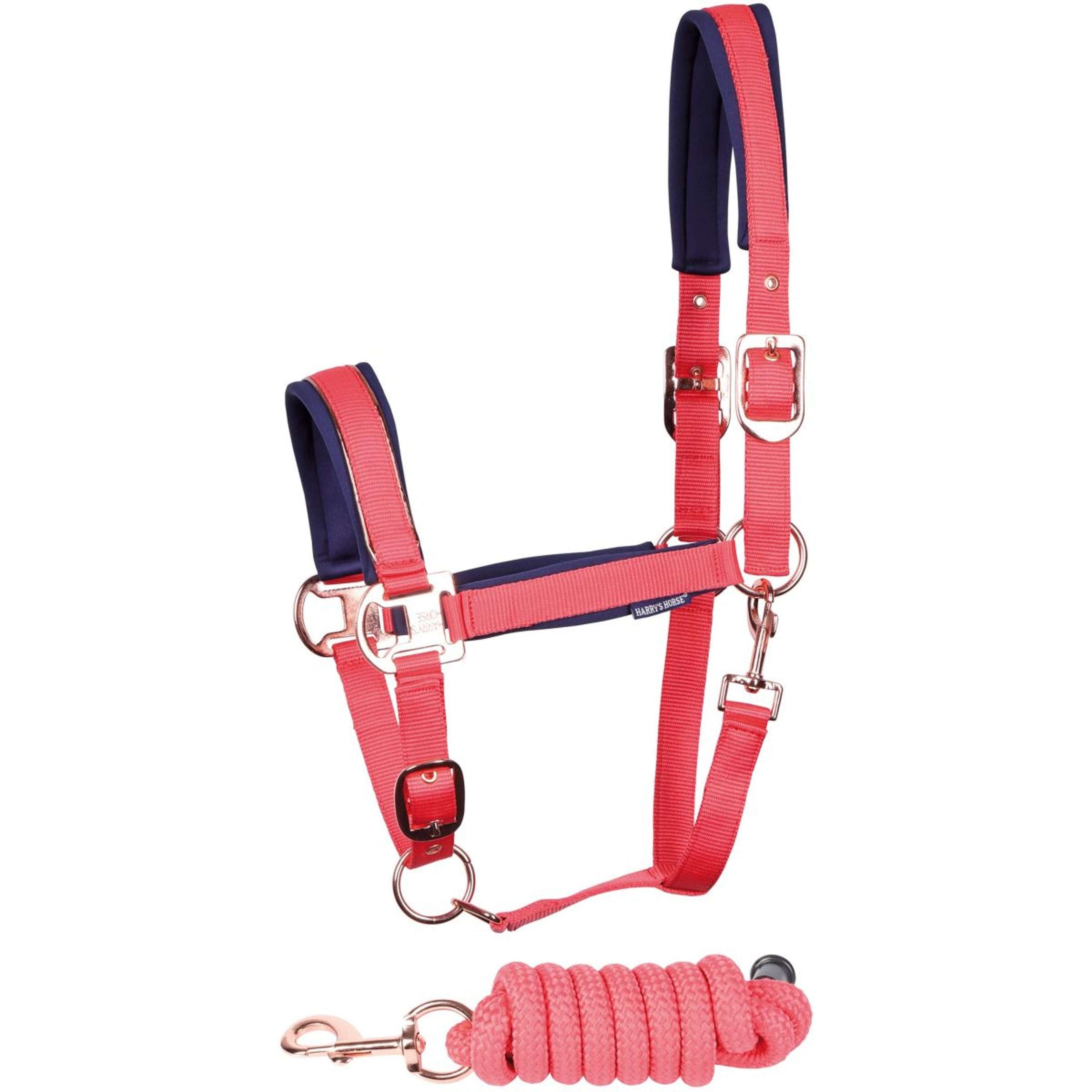 Harry's Horse Head Collar Set Larache Cayenne