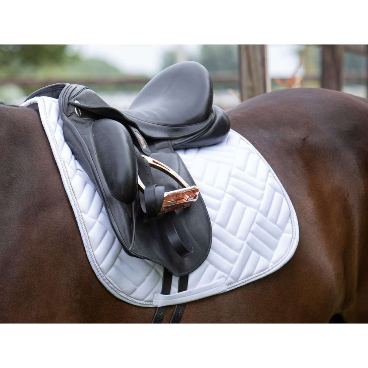 Harry's Horse Saddlepad EQS Burgundy Dressage White