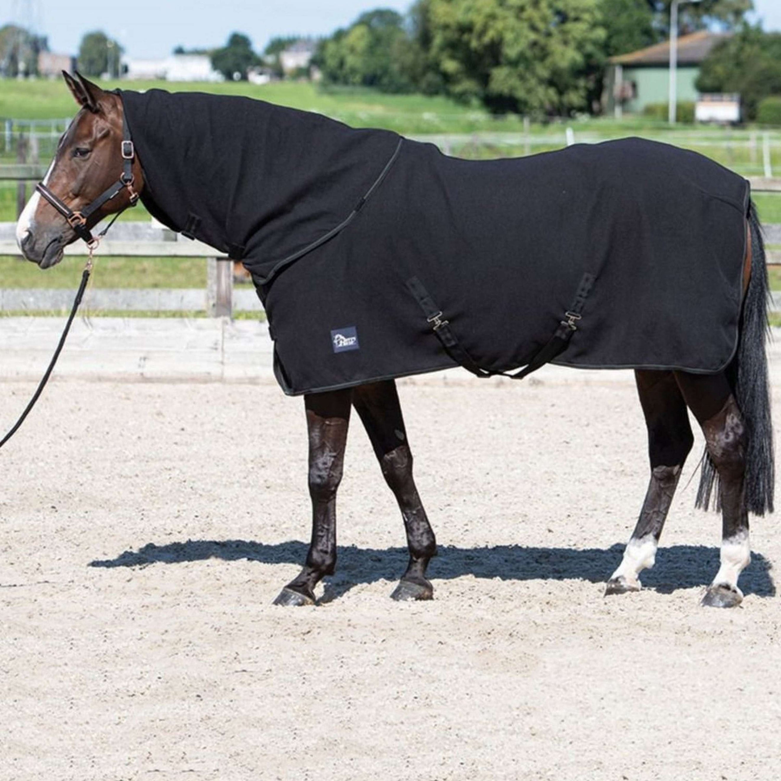 Harry's Horse Fleece Rug with Rollable Neck Black