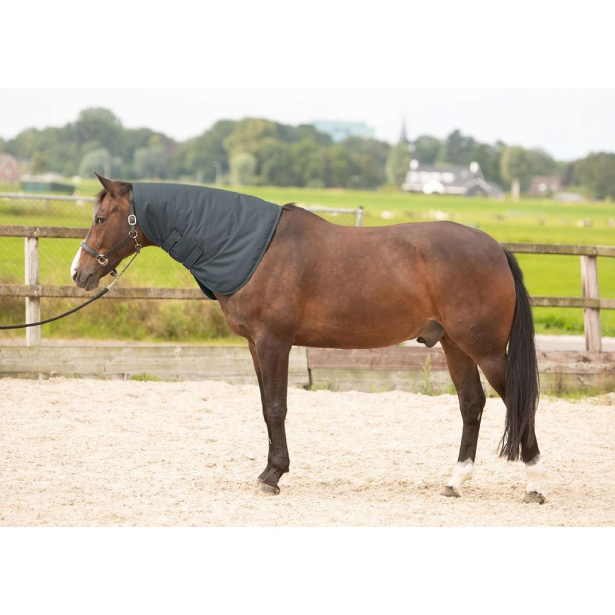 Harry's Horse Neck Cover Thor 200 Ebony