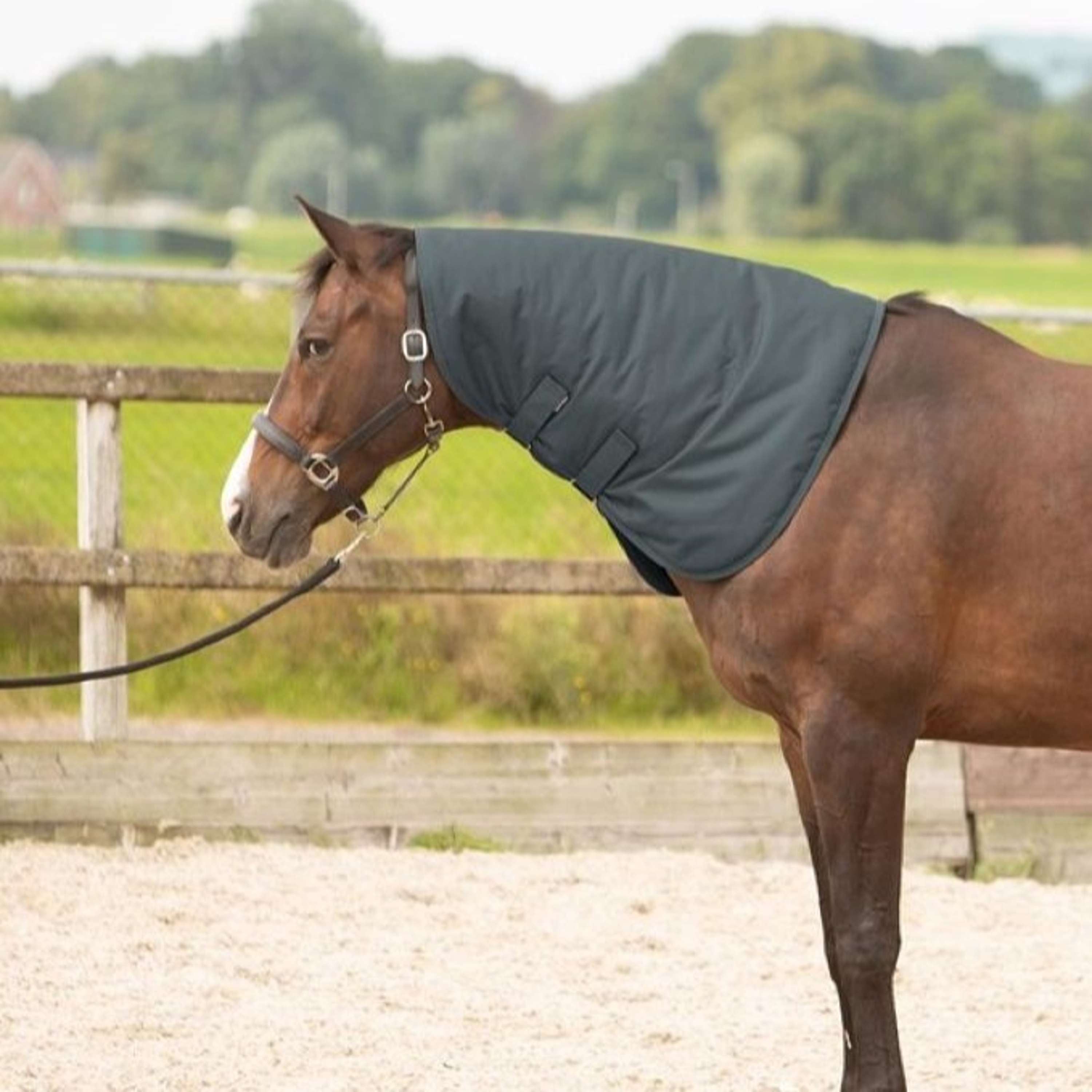 Harry's Horse Neck Cover Thor 200 Ebony