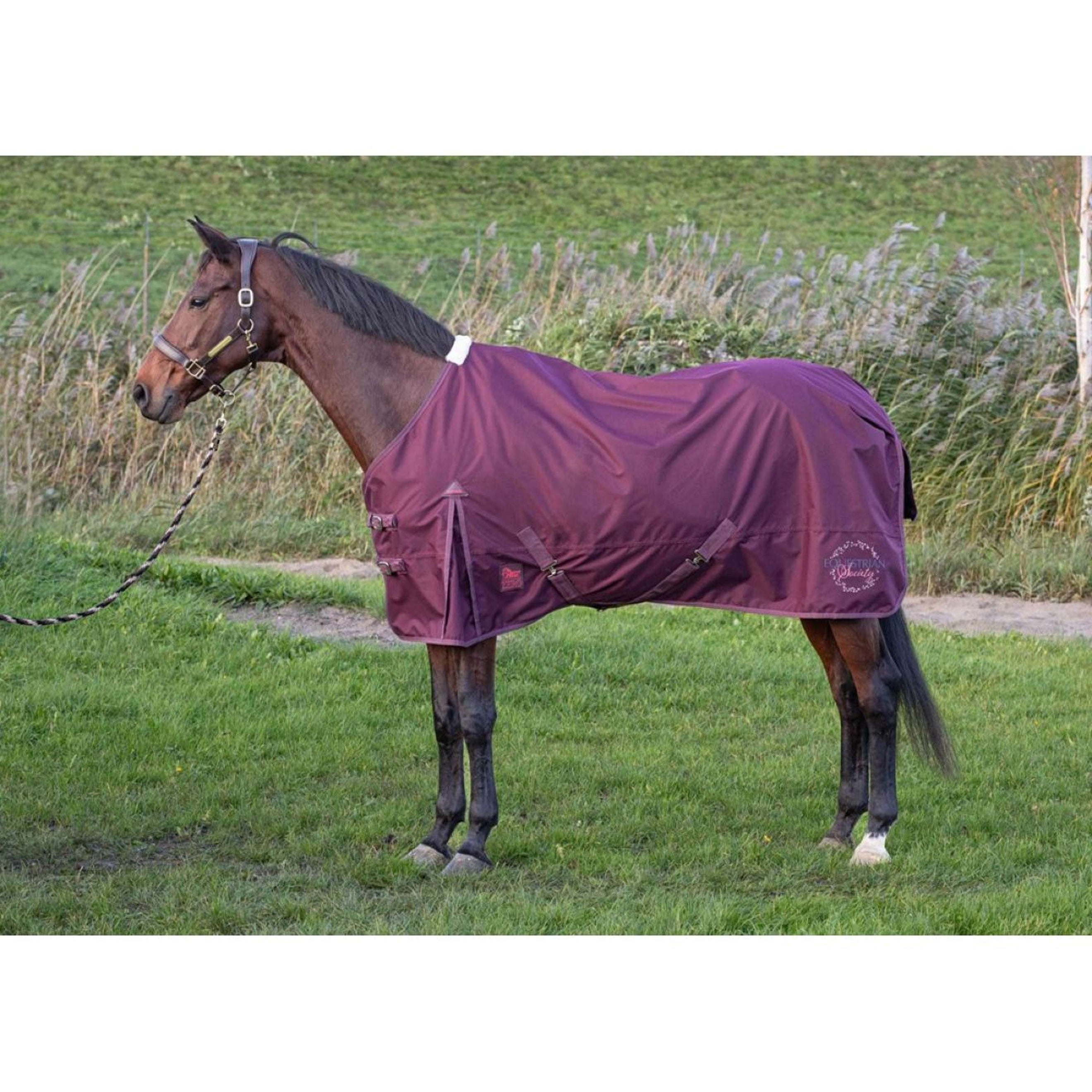 Harry's Horse Rain Rug Thor Fleece Fig