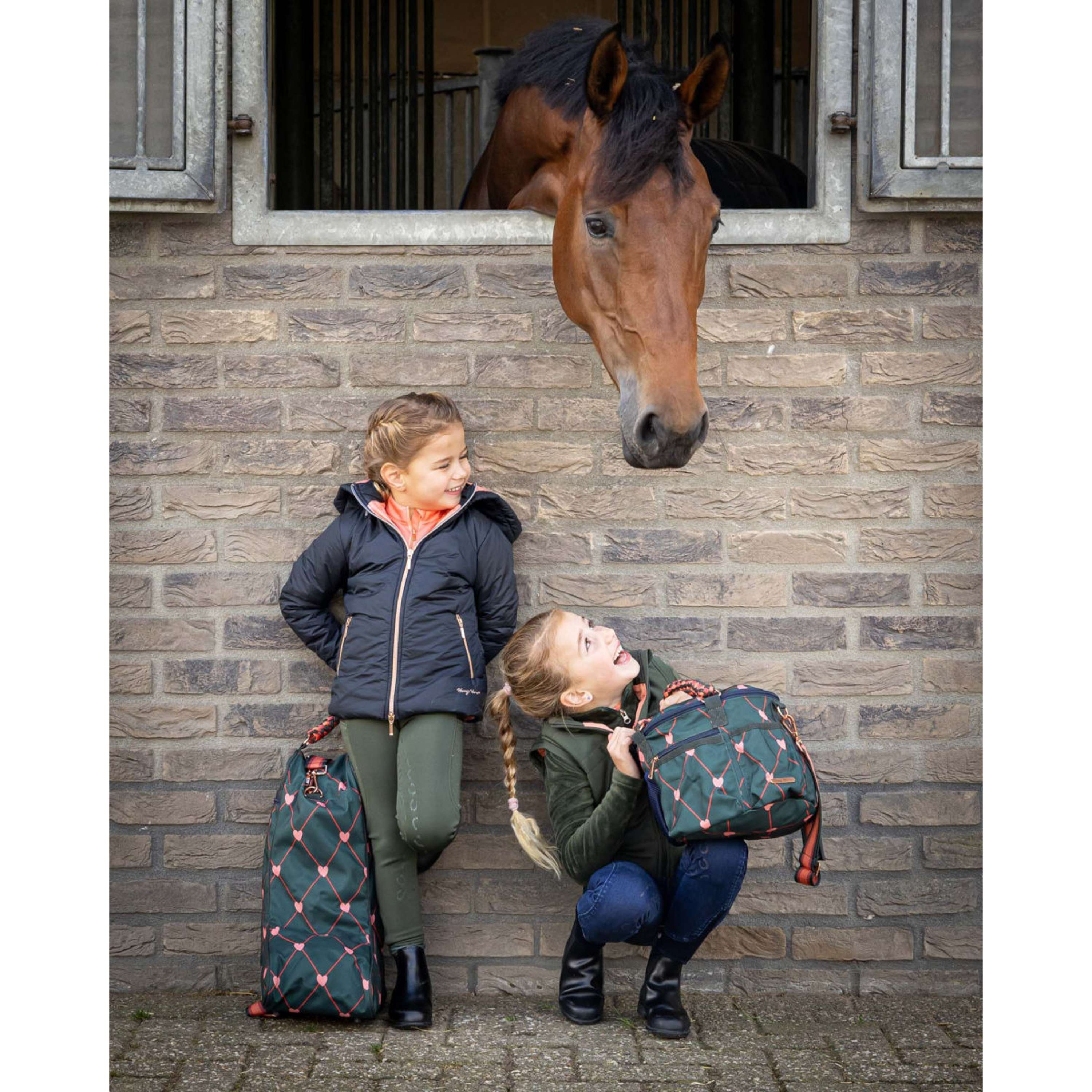 Harry's Horse Grooming Bag LouLou Duffel Bag