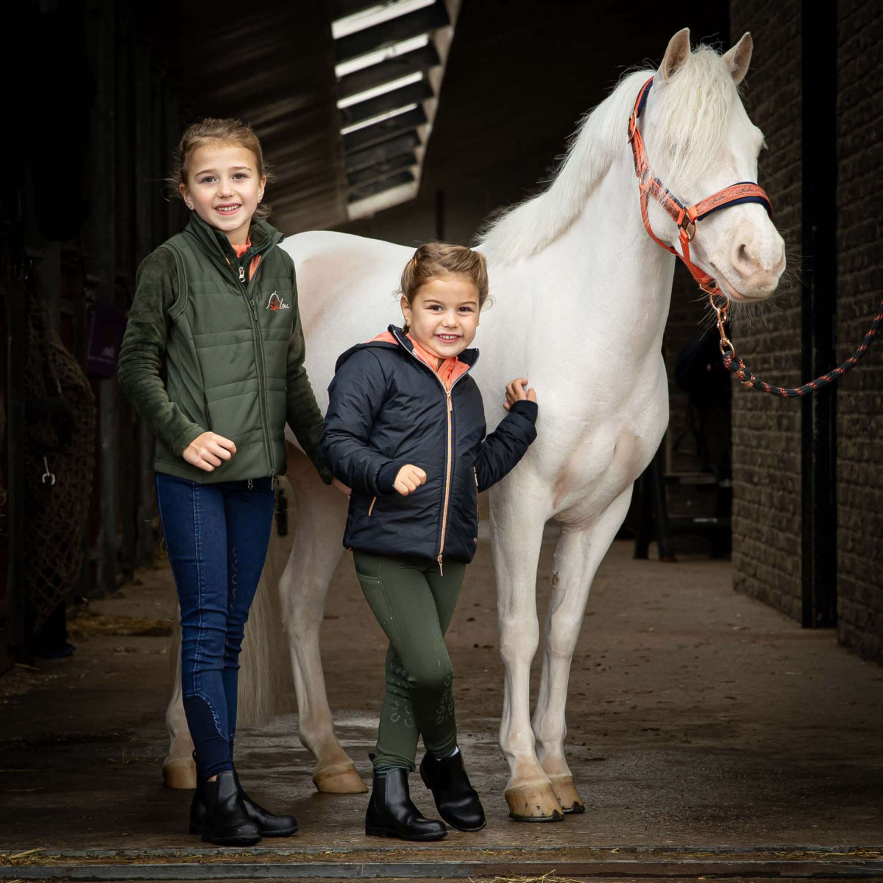 Harry's Horse Halter Set LouLou Crabapple