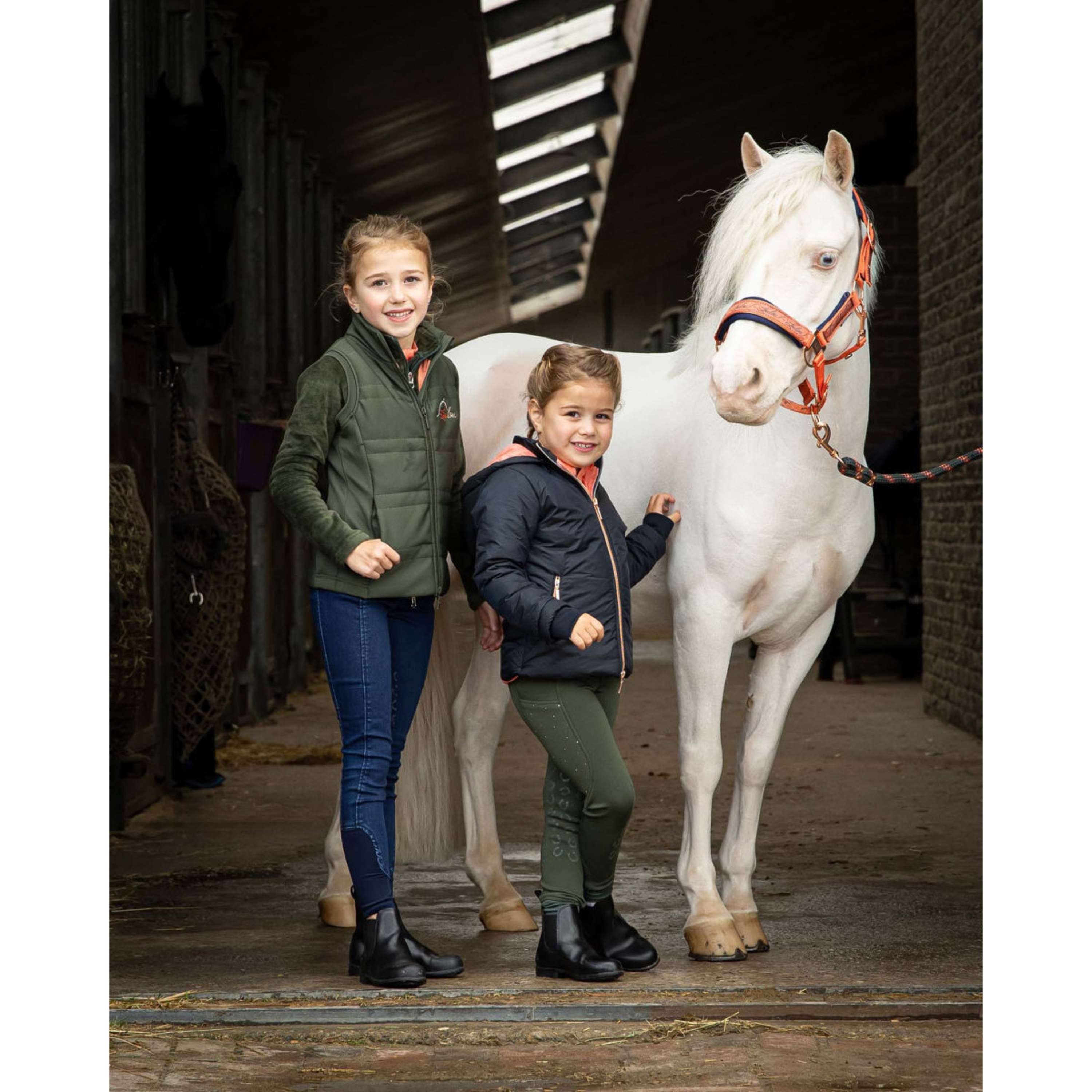 Harry's Horse Halter Set LouLou Crabapple