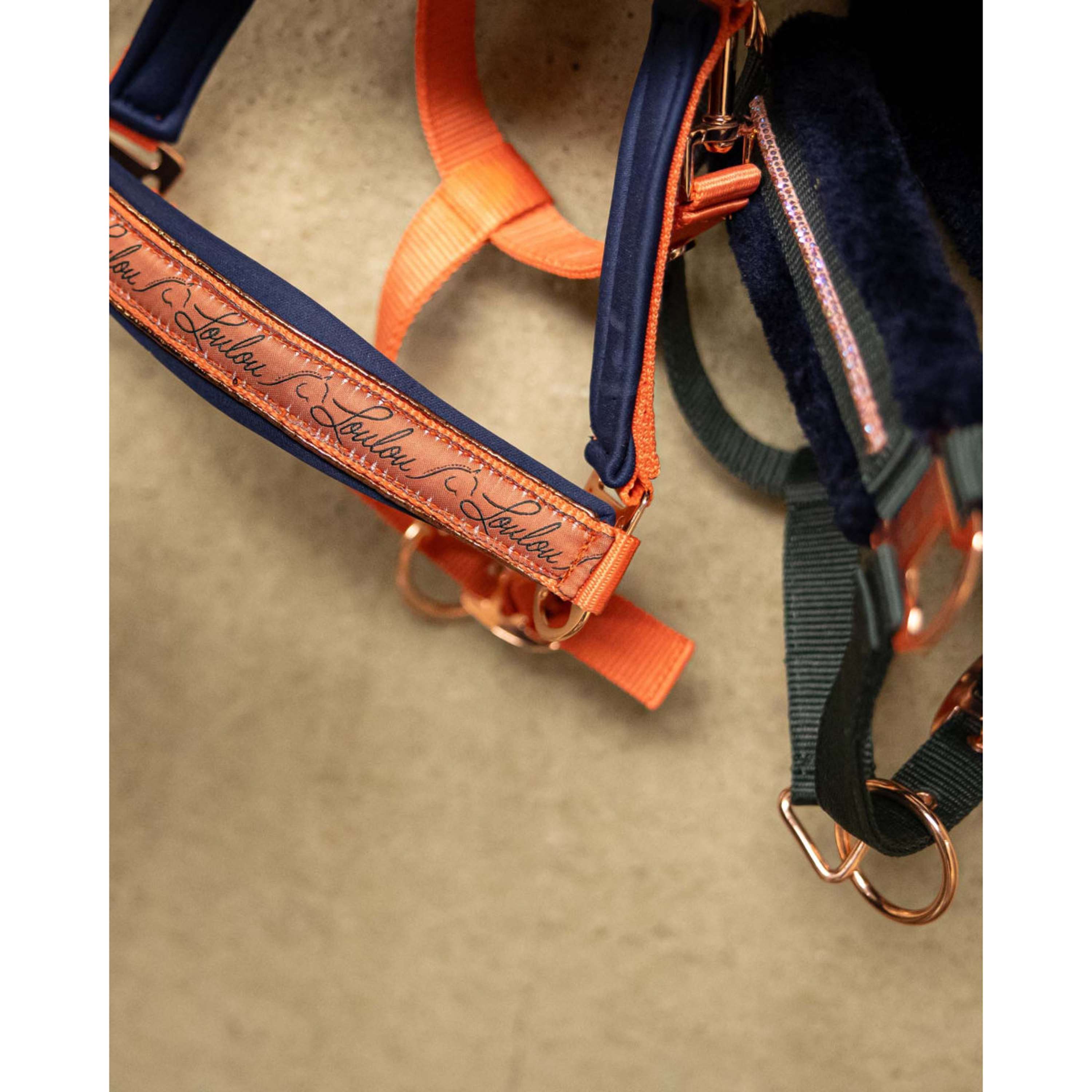 Harry's Horse Halter Set LouLou Crabapple