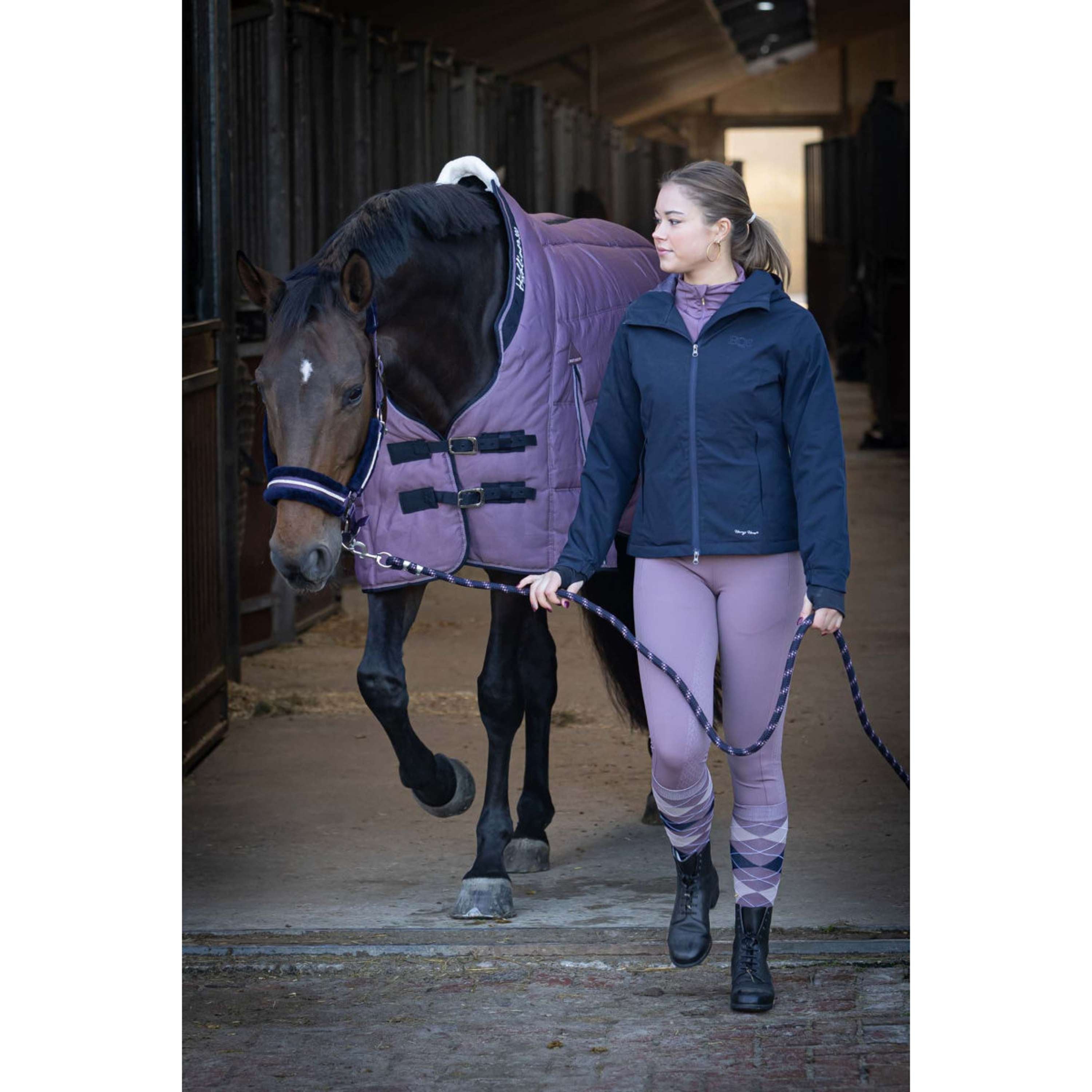 Harry's Horse Stable Rug Highliner AW26 300g Flint