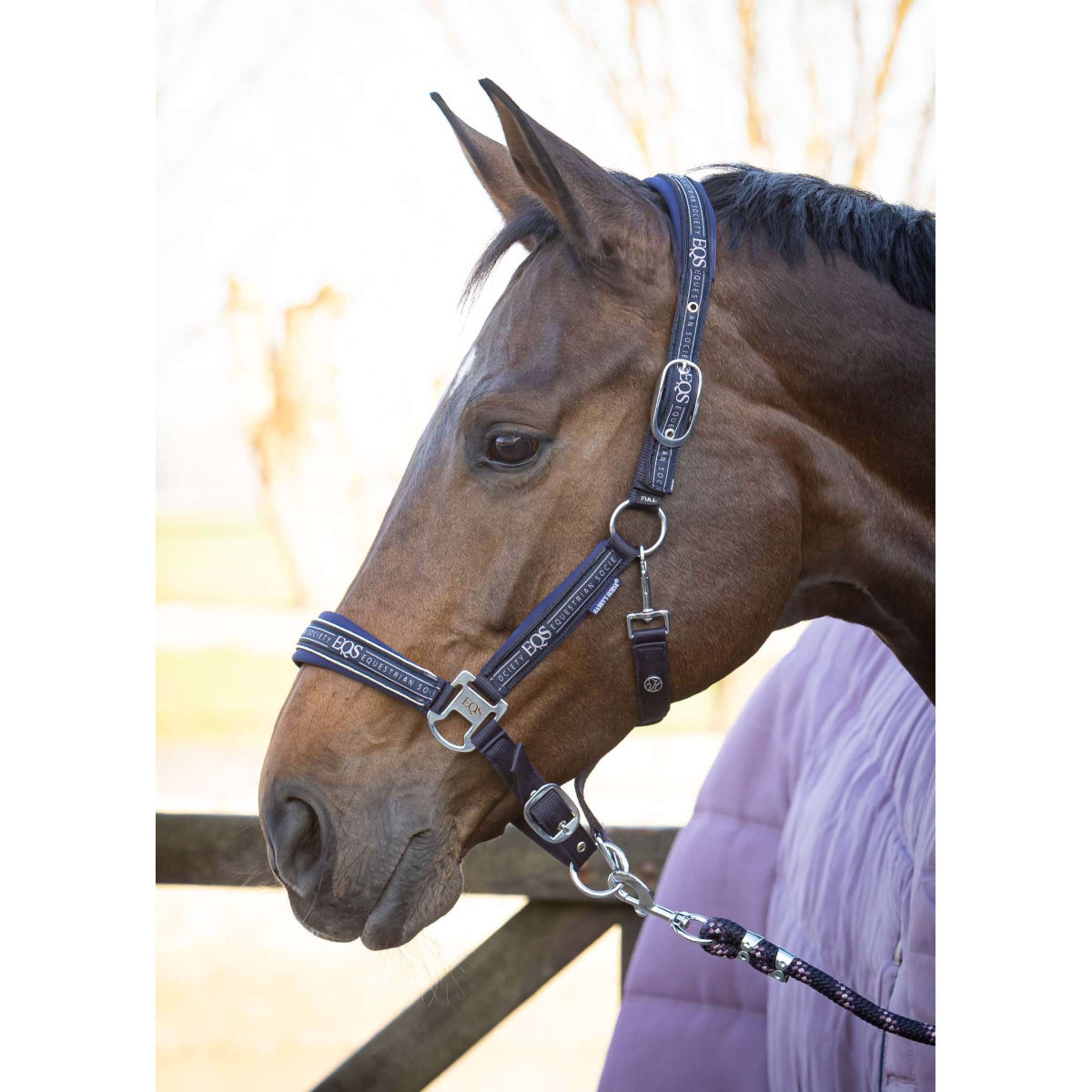 Harry's Horse Halter Set EQS Dark Navy