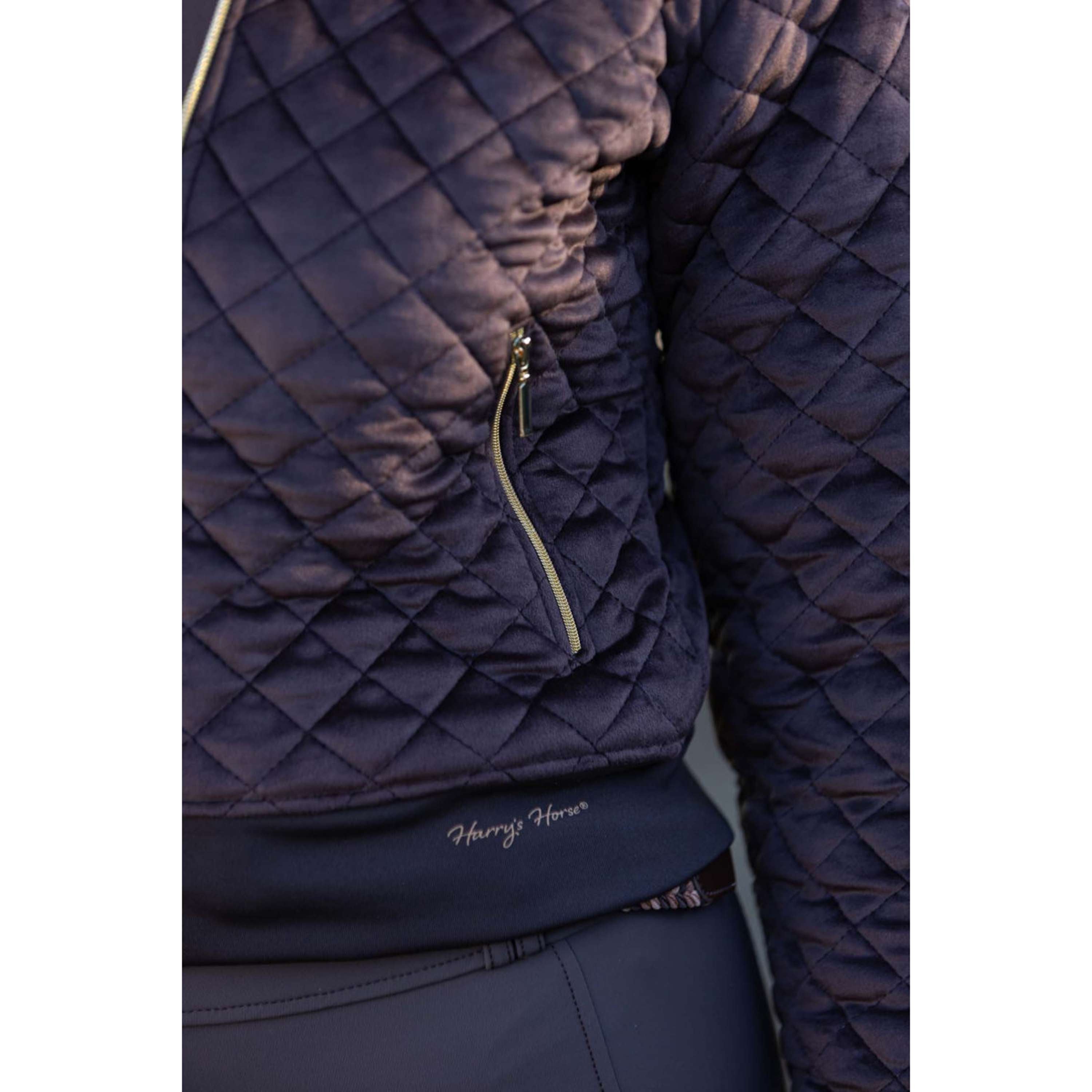 Harry's Horse Bomber Jacket Classy Bracken