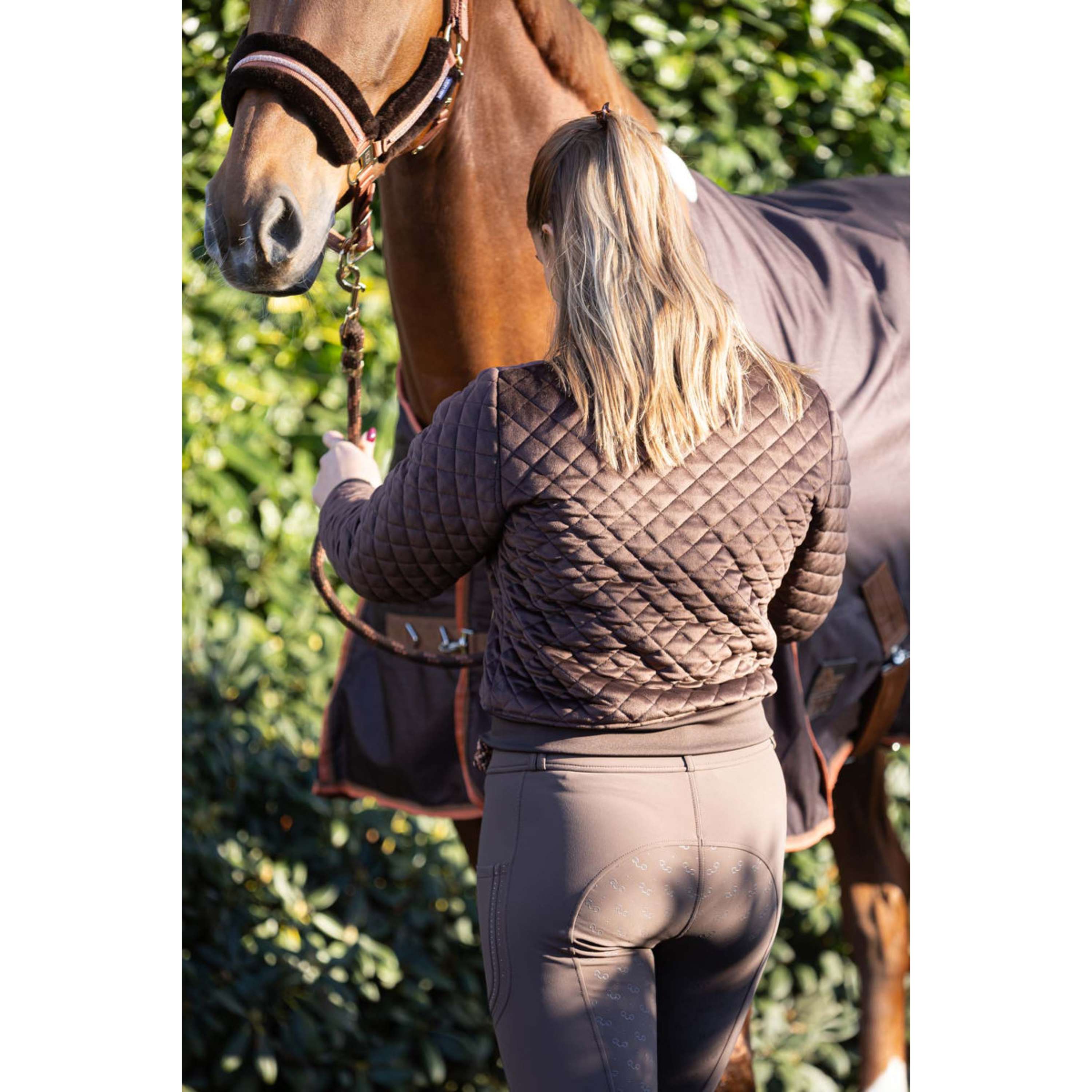 Harry's Horse Bomber Jacket Classy Bracken