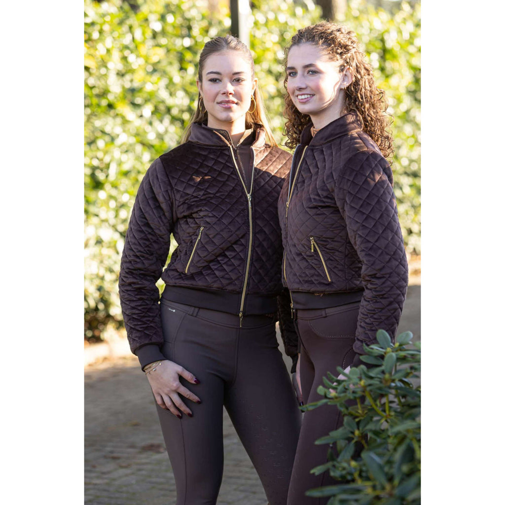 Harry's Horse Bomber Jacket Classy Bracken