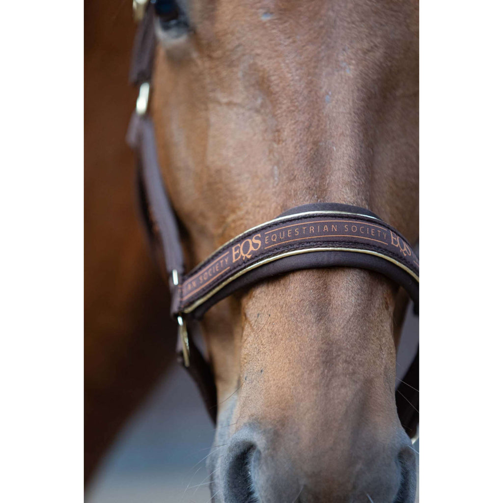 Harry's Horse Halter Set EQS Bracken