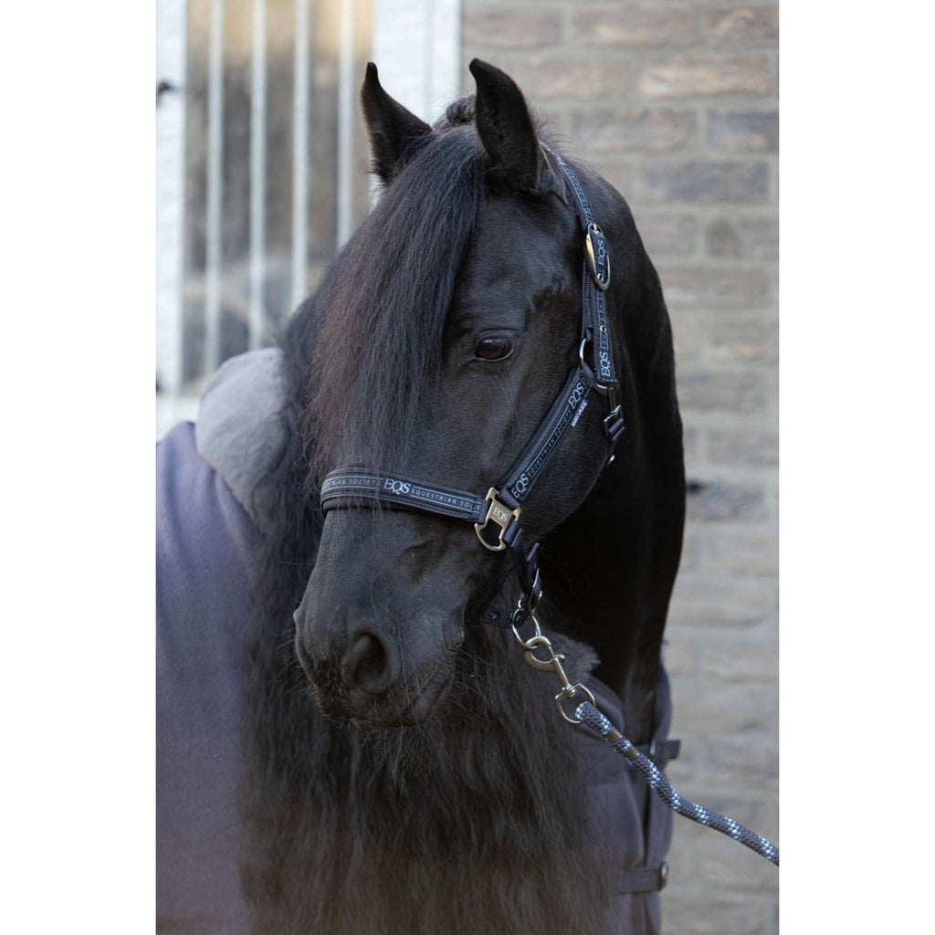 Harry's Horse Halter Set EQS Black-Sand
