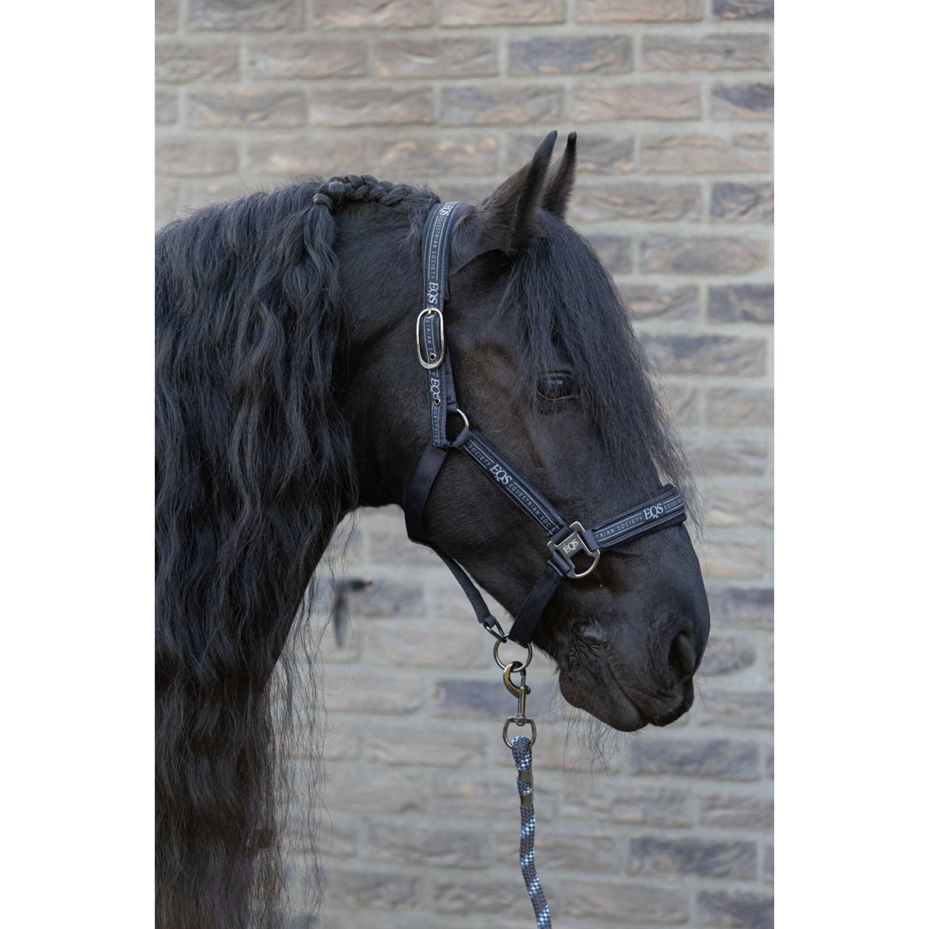 Harry's Horse Halter Set EQS Black-Sand