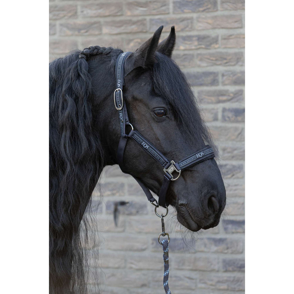 Harry's Horse Halter Set EQS Black-Sand
