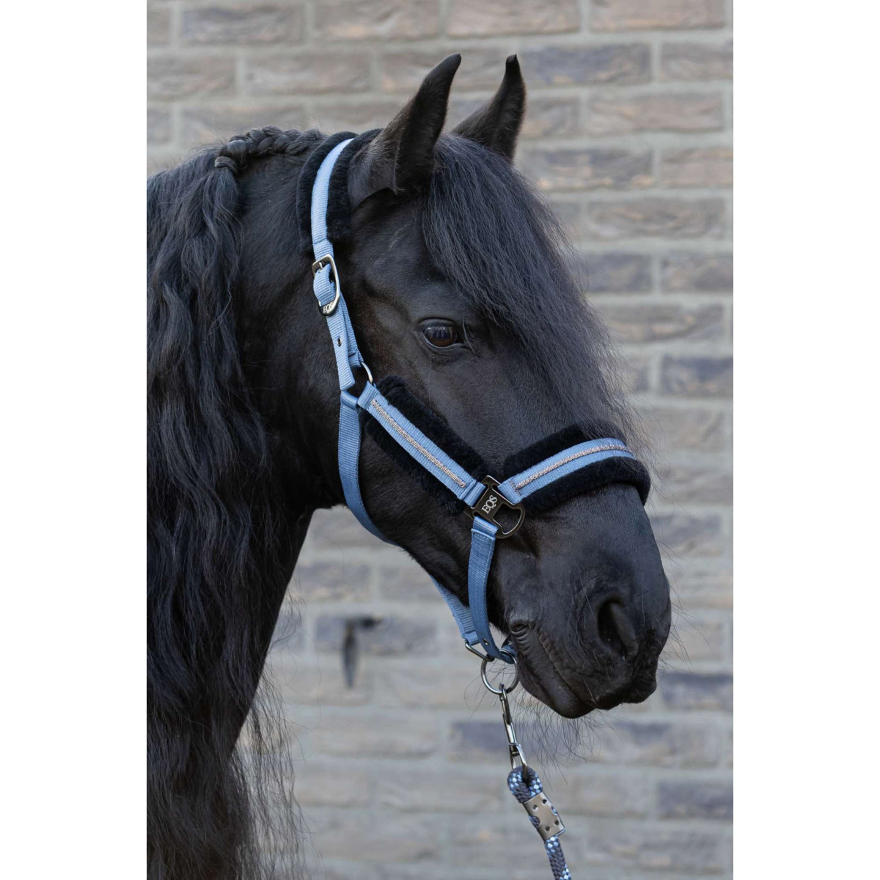 Harry's Horse Halter Set Soft Flint Stone