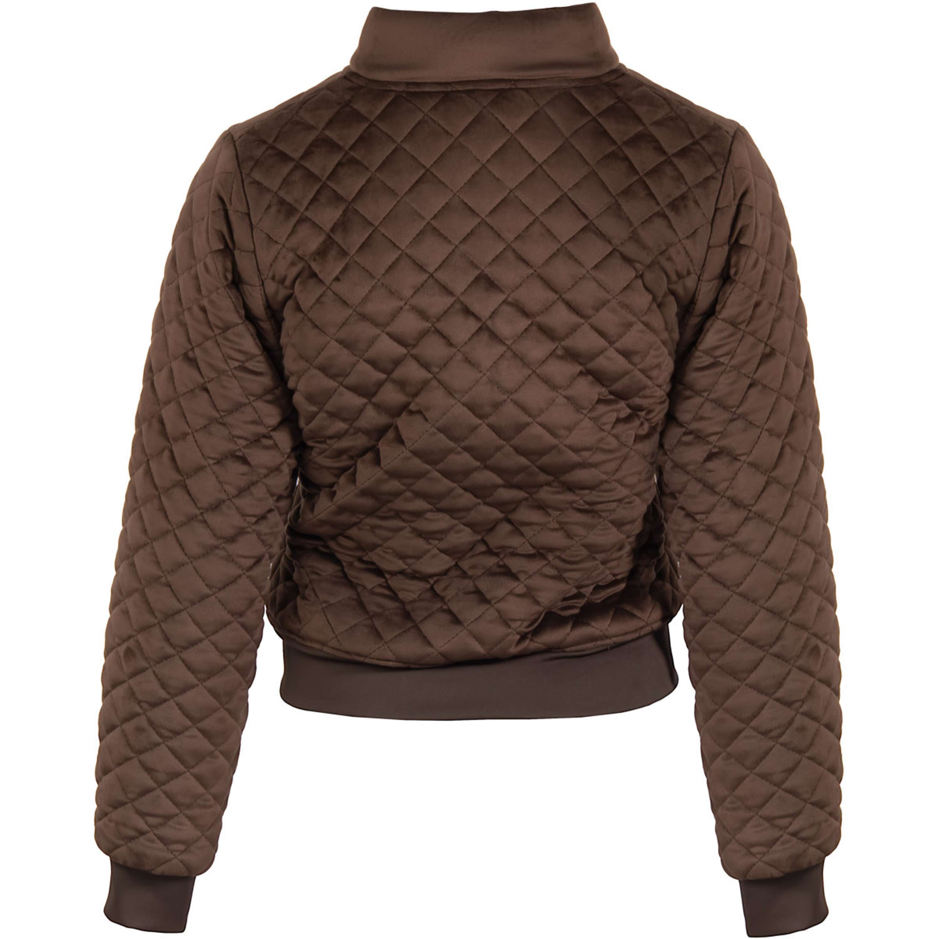 Harry's Horse Bomber Jacket Classy Bracken