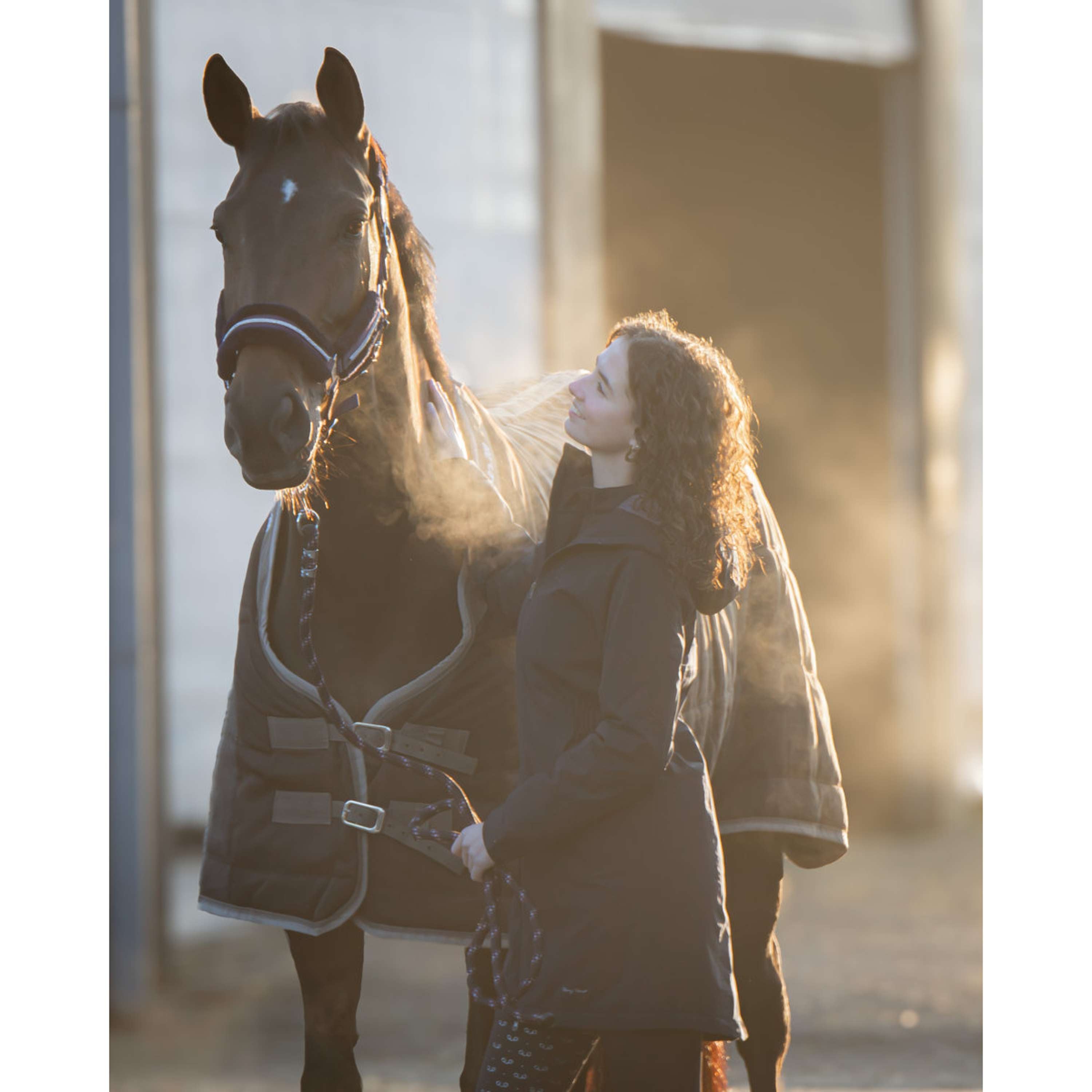 Harry's Horse Stable Rug Highliner AW26 200g Black-Sand