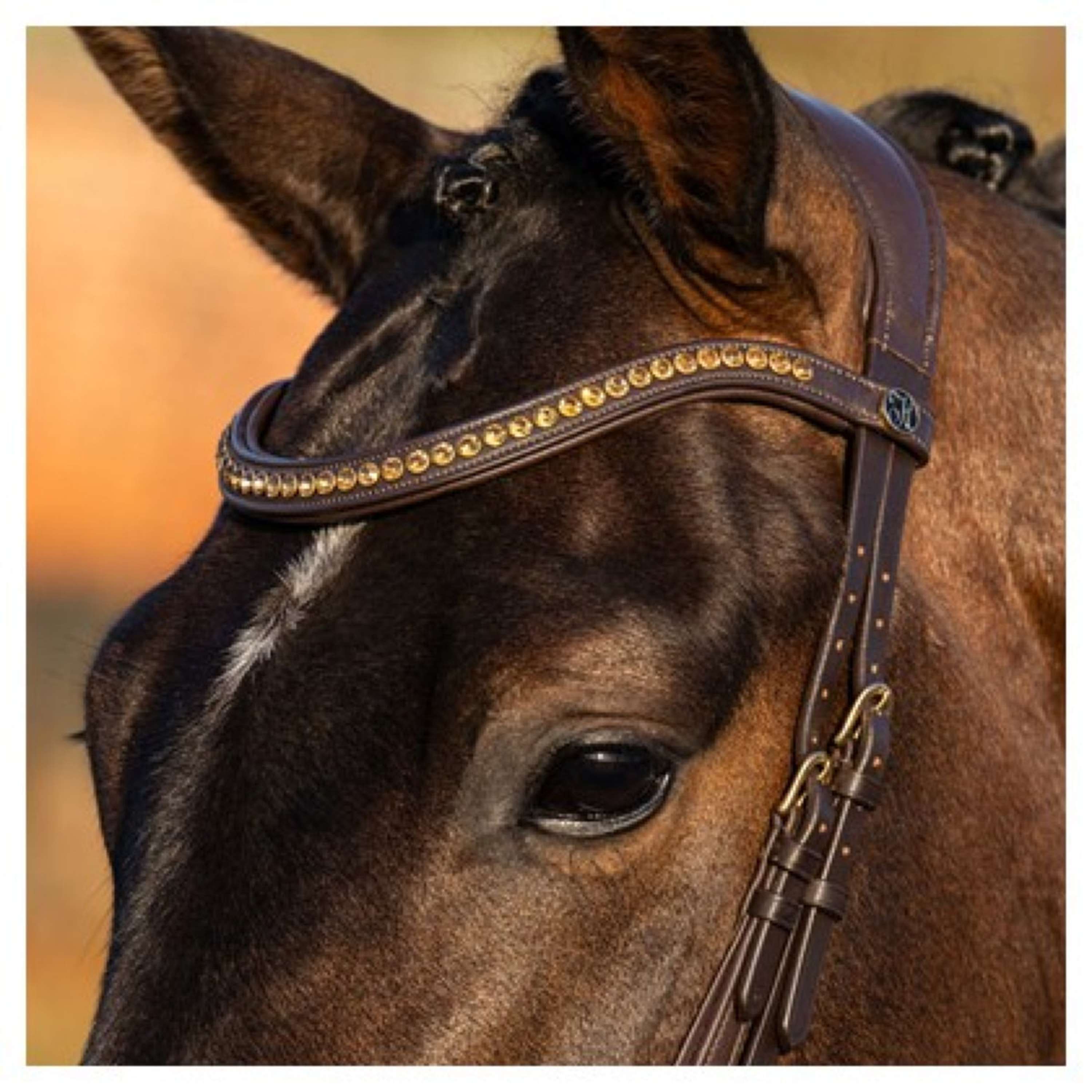Harry's Horse Bridle Anatomic Gold Brown