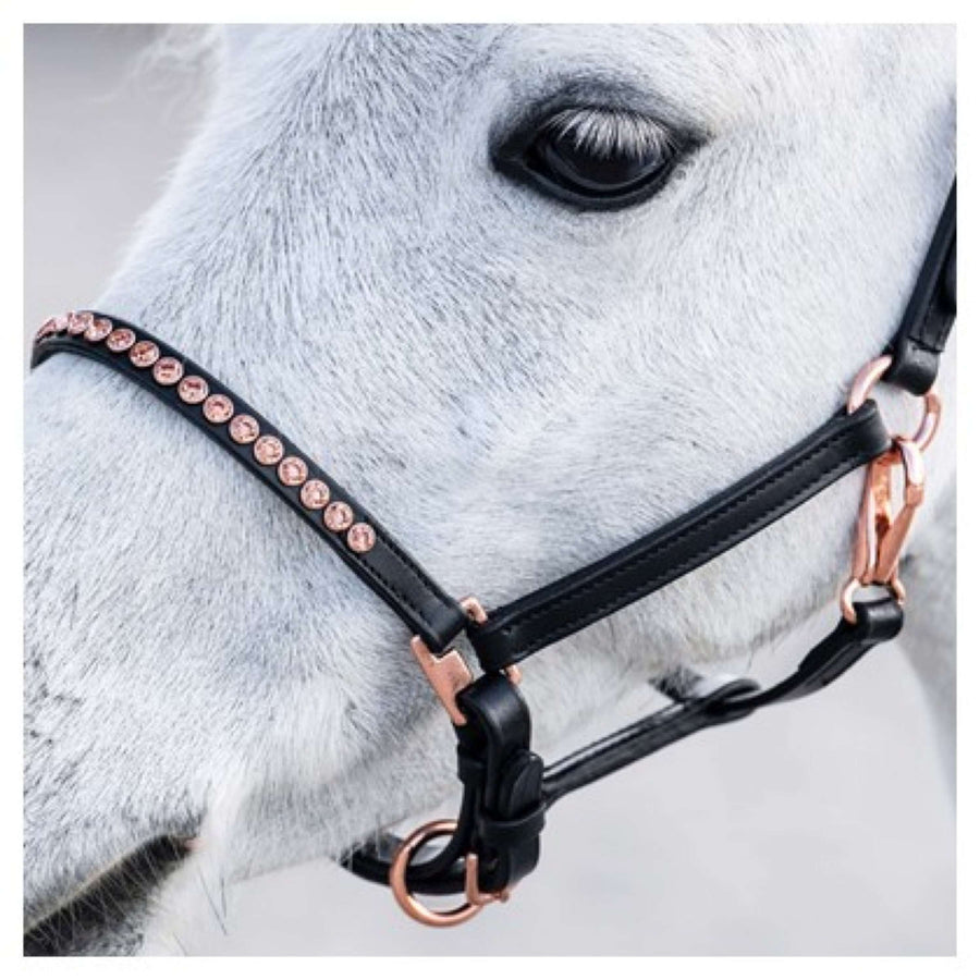 Harry's Horse Halter Crystal Pony/Foal Black/Rose gold