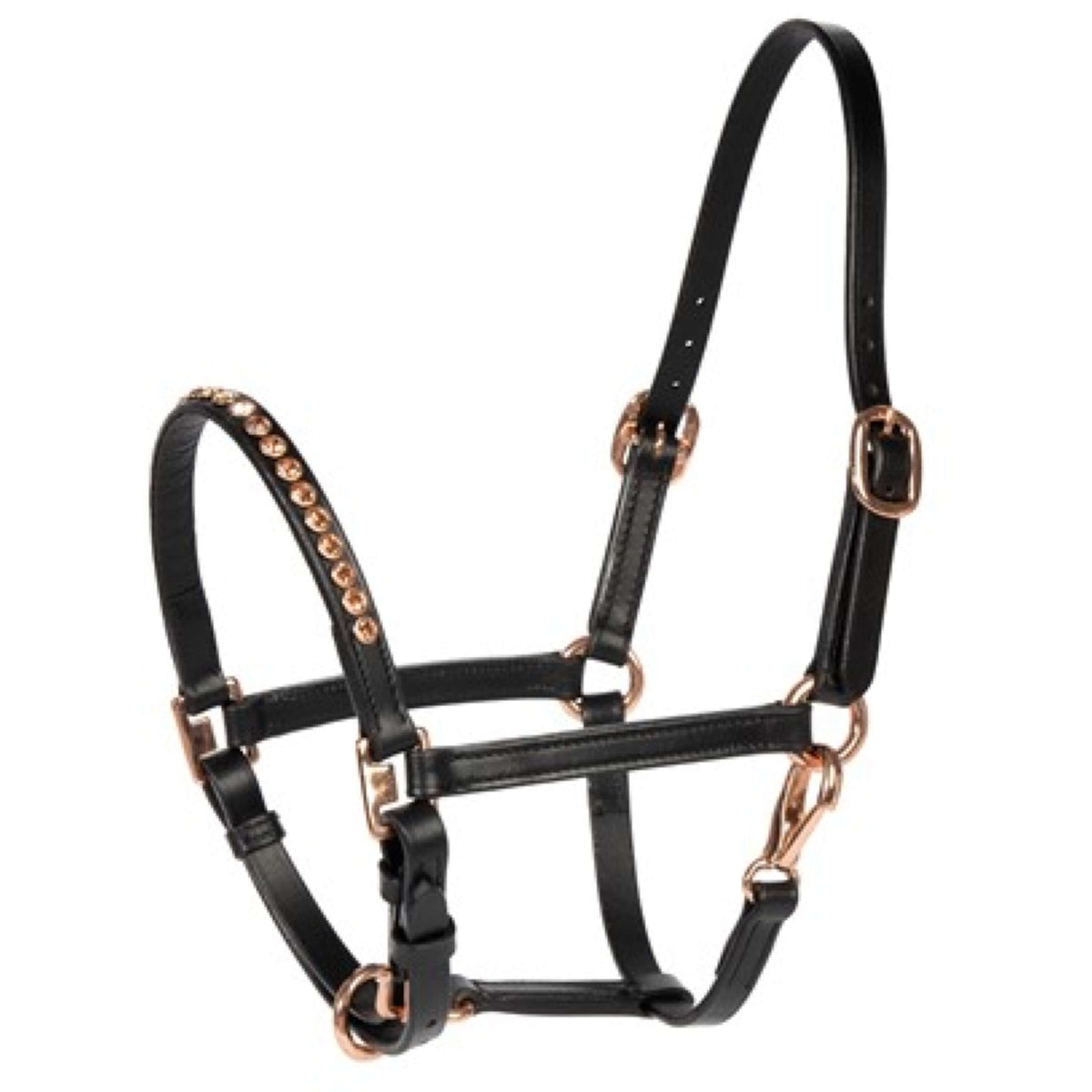 Harry's Horse Halter Crystal Black/Rose gold