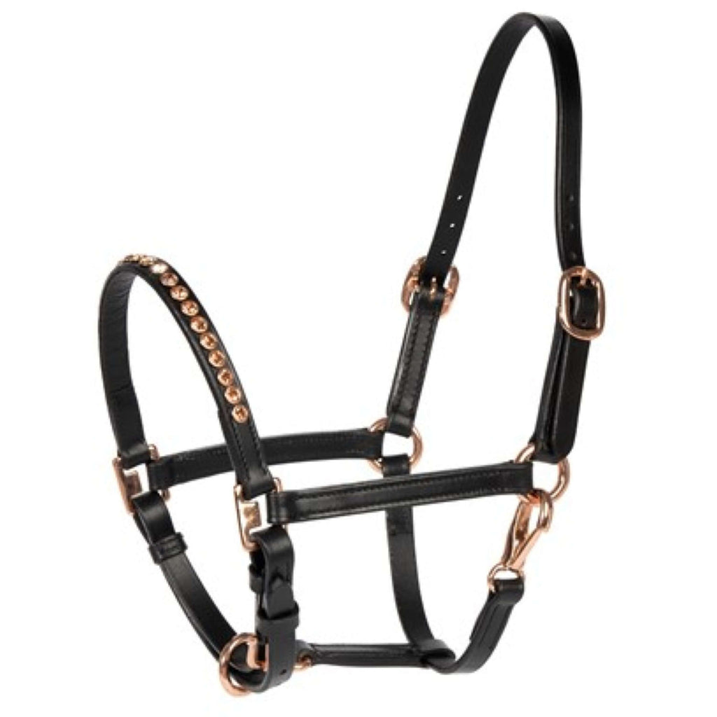 Harry's Horse Halter Crystal Pony/Foal Black/Rose gold