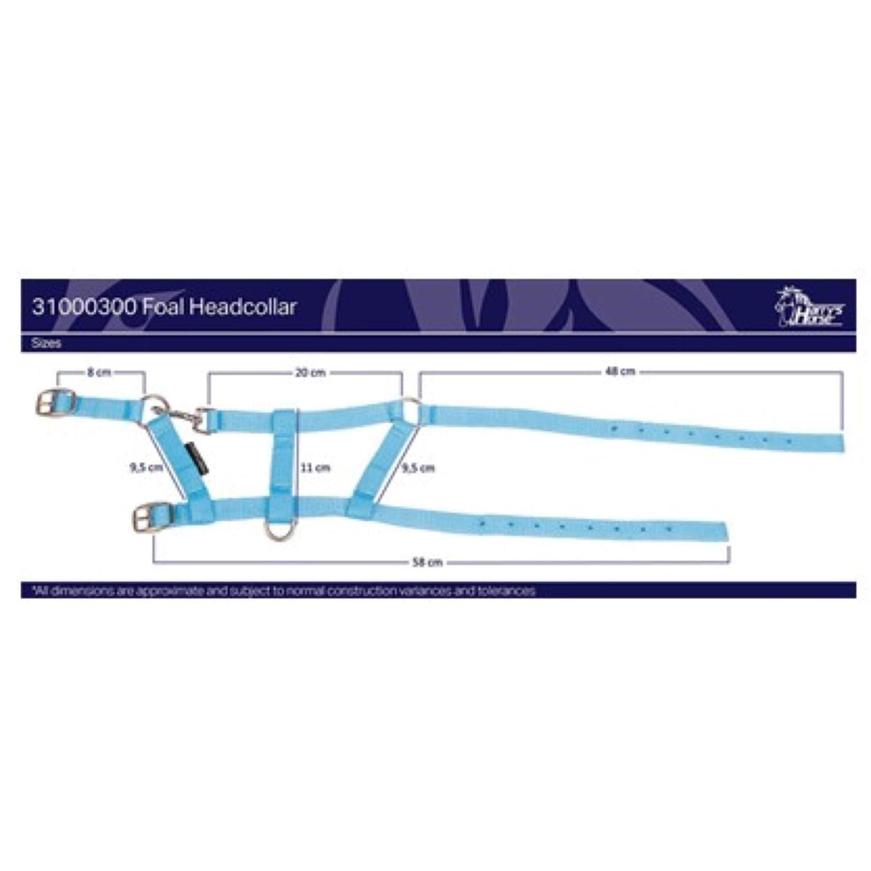 Harry's Horse Foal Halter Navy