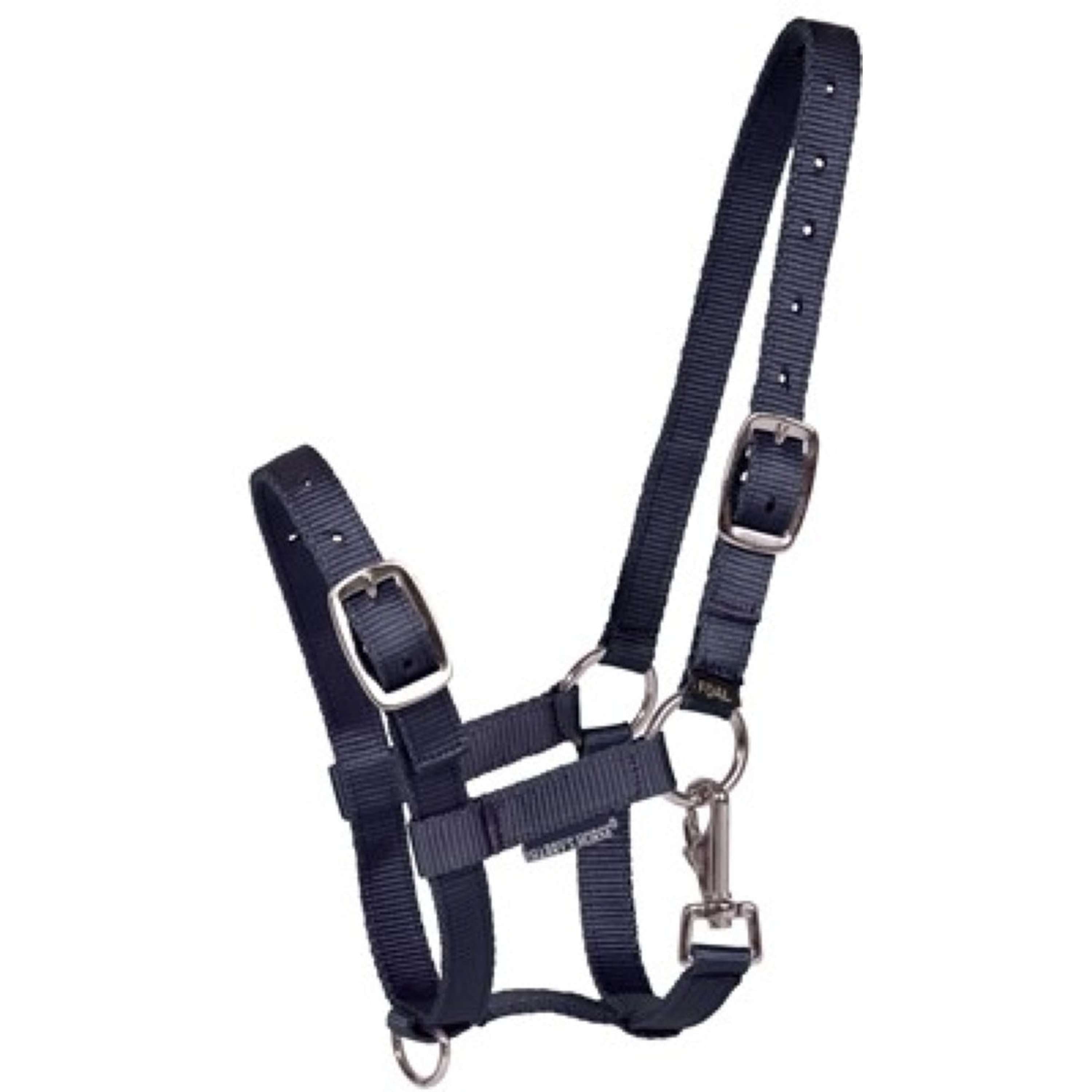 Harry's Horse Foal Halter Navy
