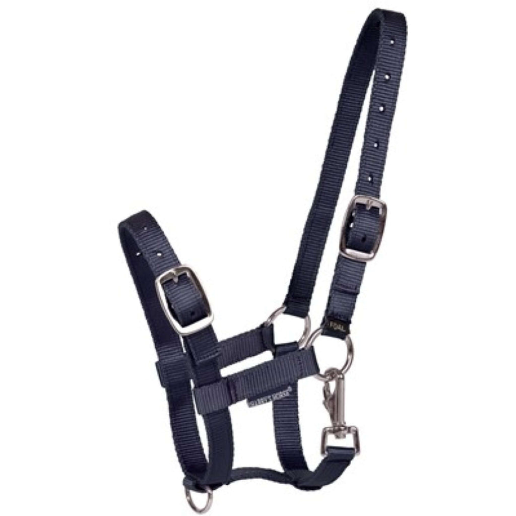 Harry's Horse Foal Halter Navy