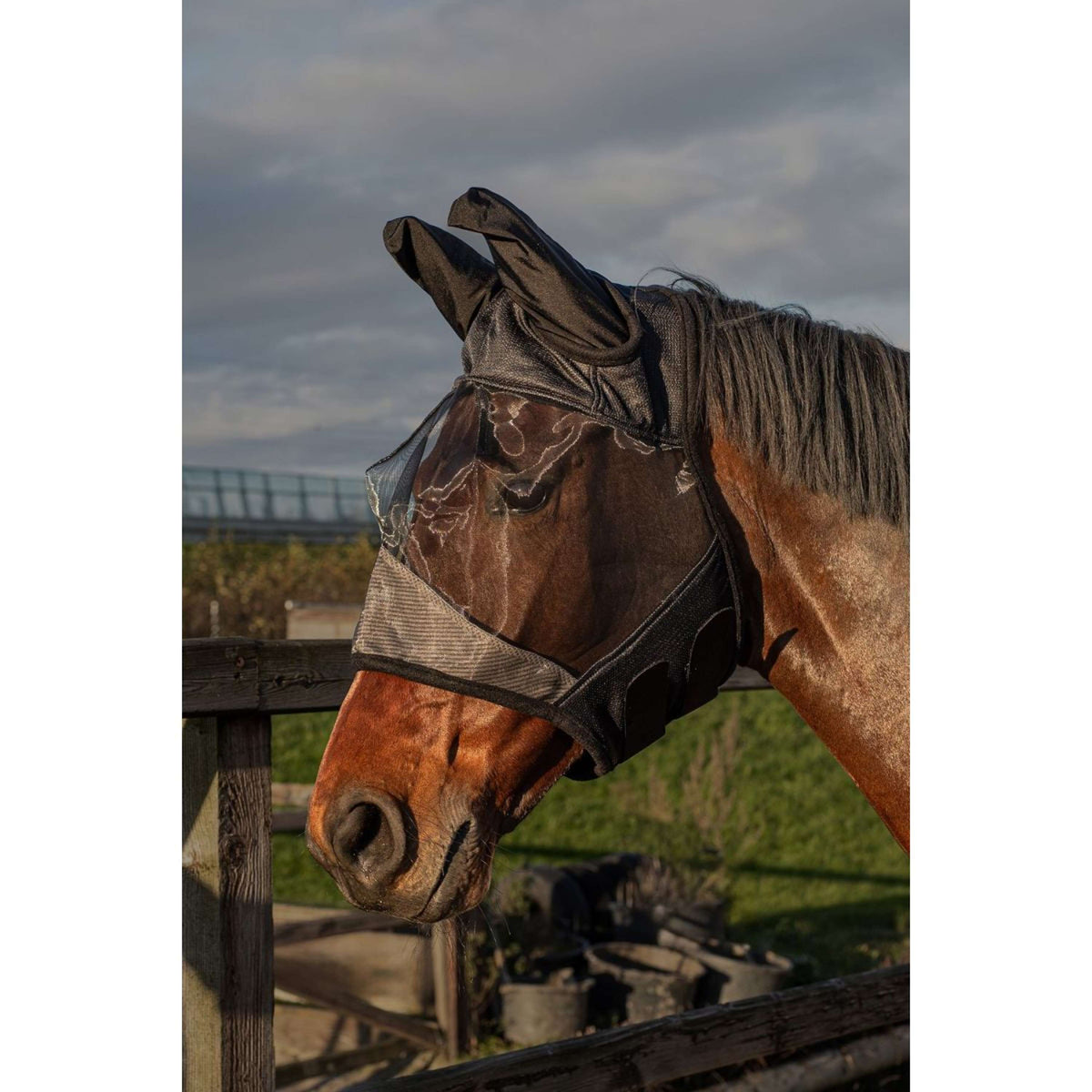 Harry's Horse Fly Mask Flyshield