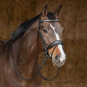 Harry's Horse Bridle Drops Black