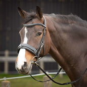 Harry's Horse Lunge Bridle Comfort Leather Black