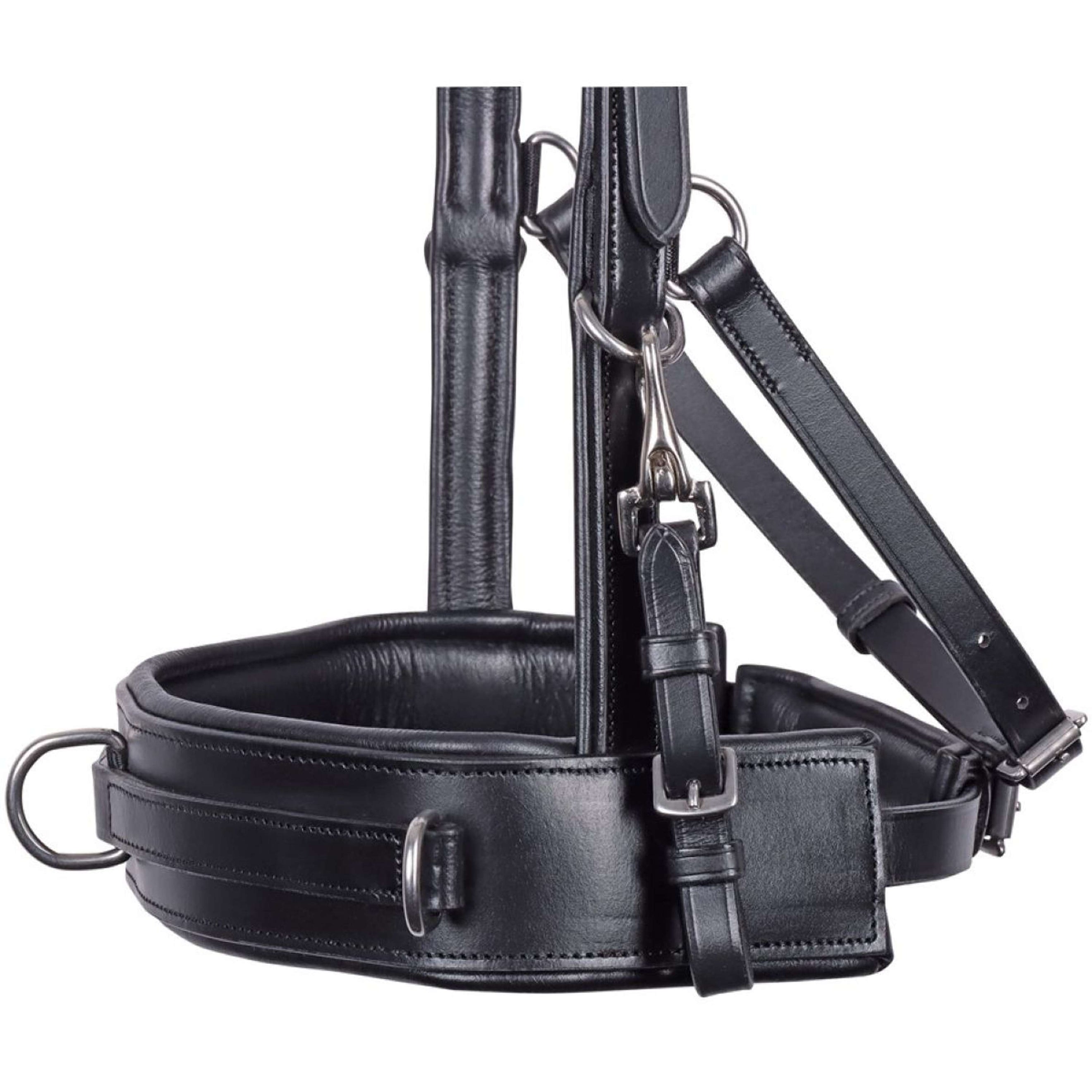 Harry's Horse Lunge Bridle Comfort Leather Black Harry's Horse Lunge Bridle Comfort Leather Black